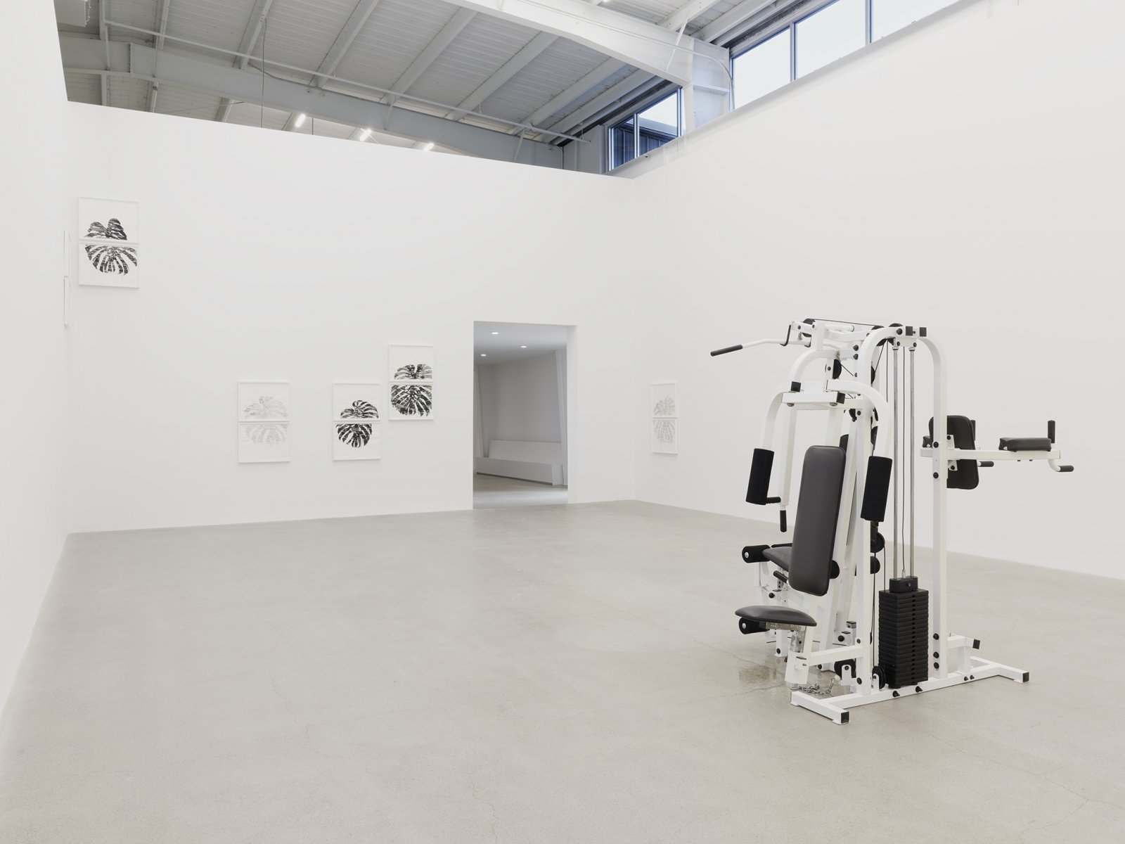 Abbas Akhavan, not titled, 2019, gym equipment, misting system, automatic water timer, water, installation dimensions variable by Abbas Akhavan