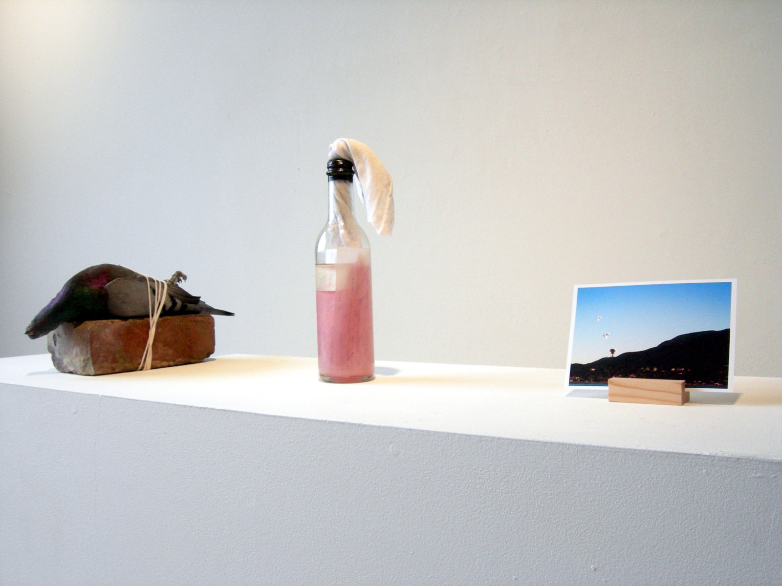 Abbas Akhavan, Correspondences, 2007, taxidermy pigeon, brick, string, letter carrier and letter, glass bottle, oil, gasoline, electric tape, cloth, letter, postcard, dimensions variable