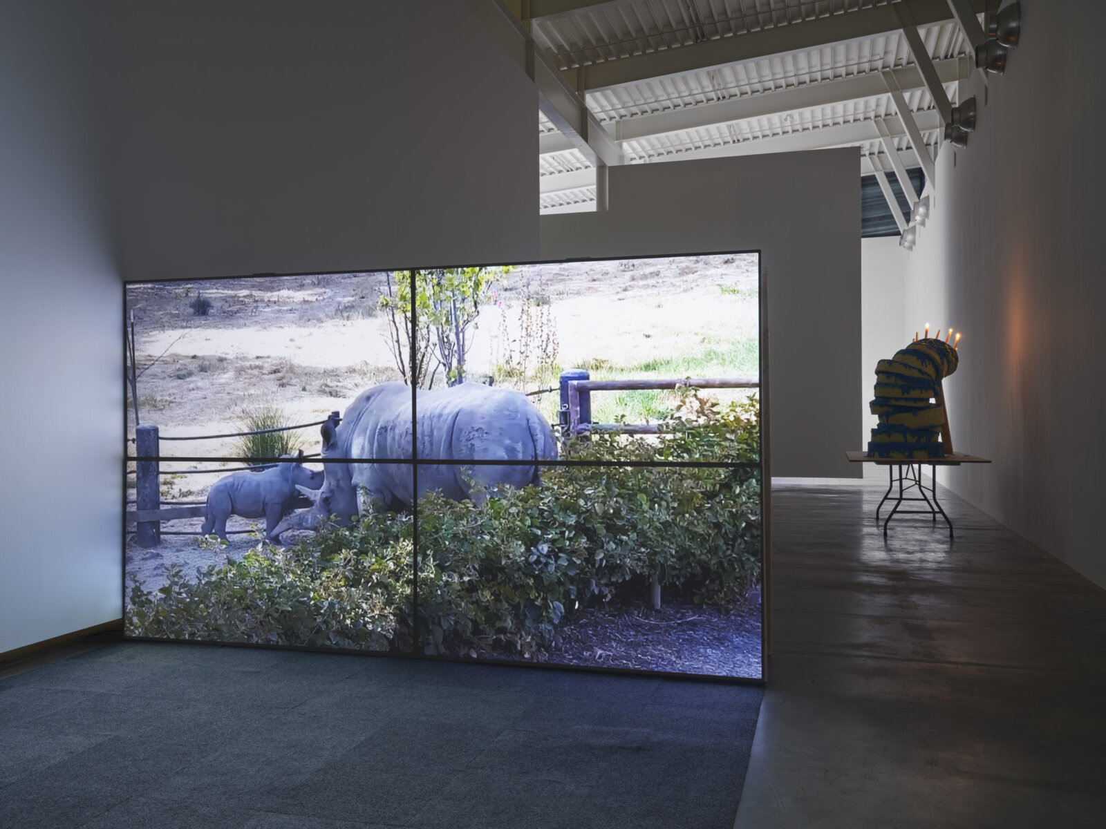 Abbas Akhavan, Zoo, 2025, live-feed stream, monitors, lumber, hardware, dimensions variable