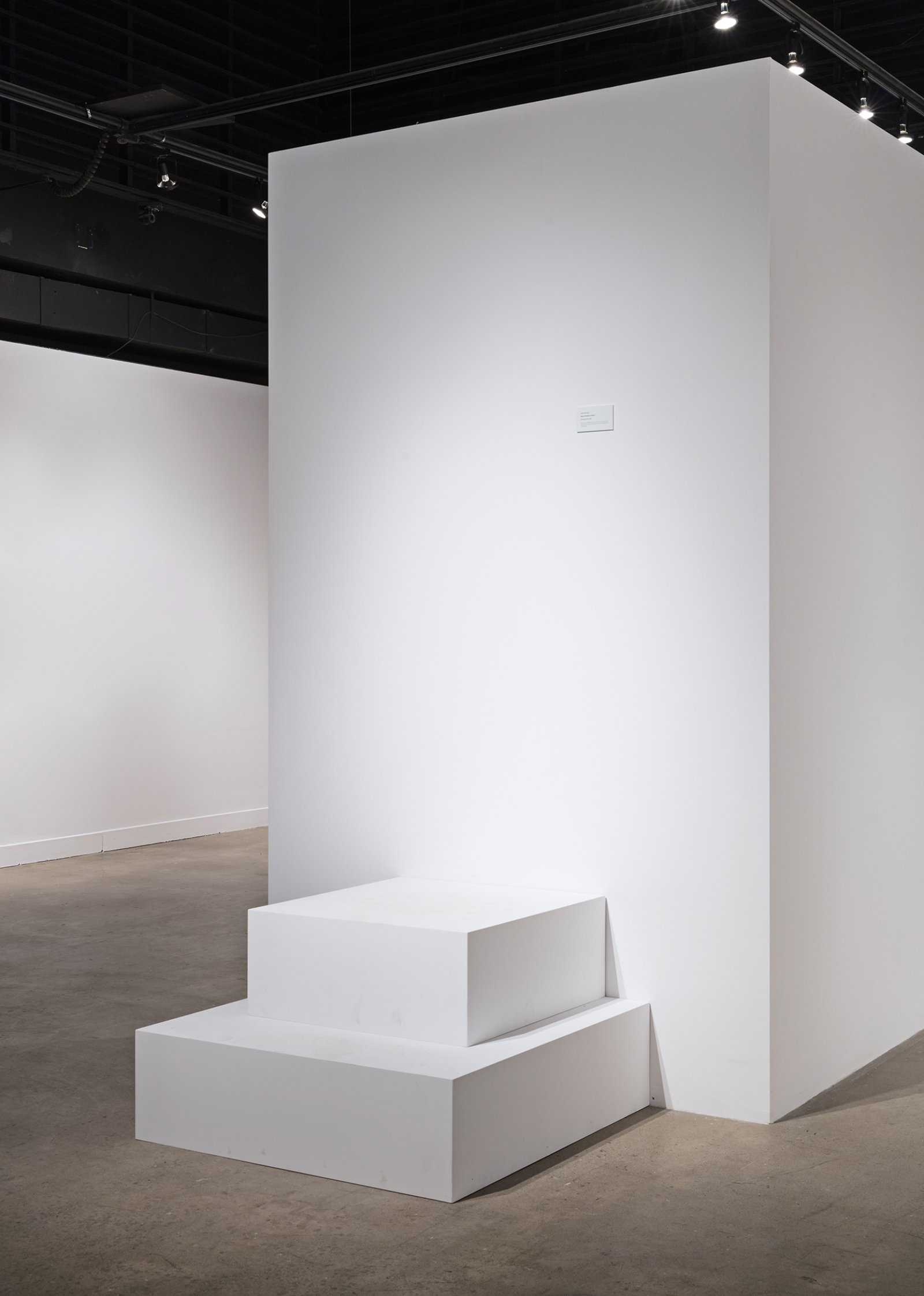 Abbas Akhavan, Stress Positions, 2009/2017, 2 plinths, label, dimensions variable. Installation view, Propped, Oakville Galleries, Oakville, Canada, 2017