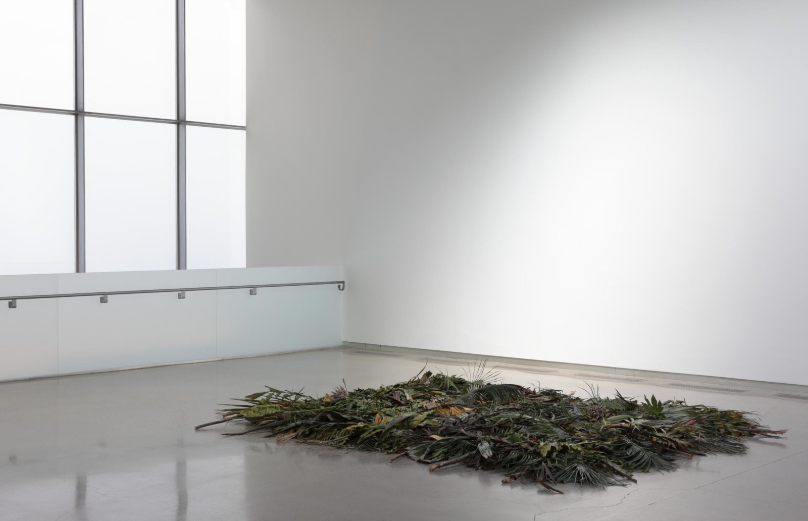 Abbas Akhavan, Study for a Curtain, 2015/2018, installation including exposed skylight, floral foam, oscillating fan, removal of all lights, tropical plants, wind chime, 156 x 120 in. (396 x 305 cm). Installation view, Hedges, Edges, Dirt, Institute of Contemporary Art at Virginia Commonwealth University, Richmond, USA, 2018