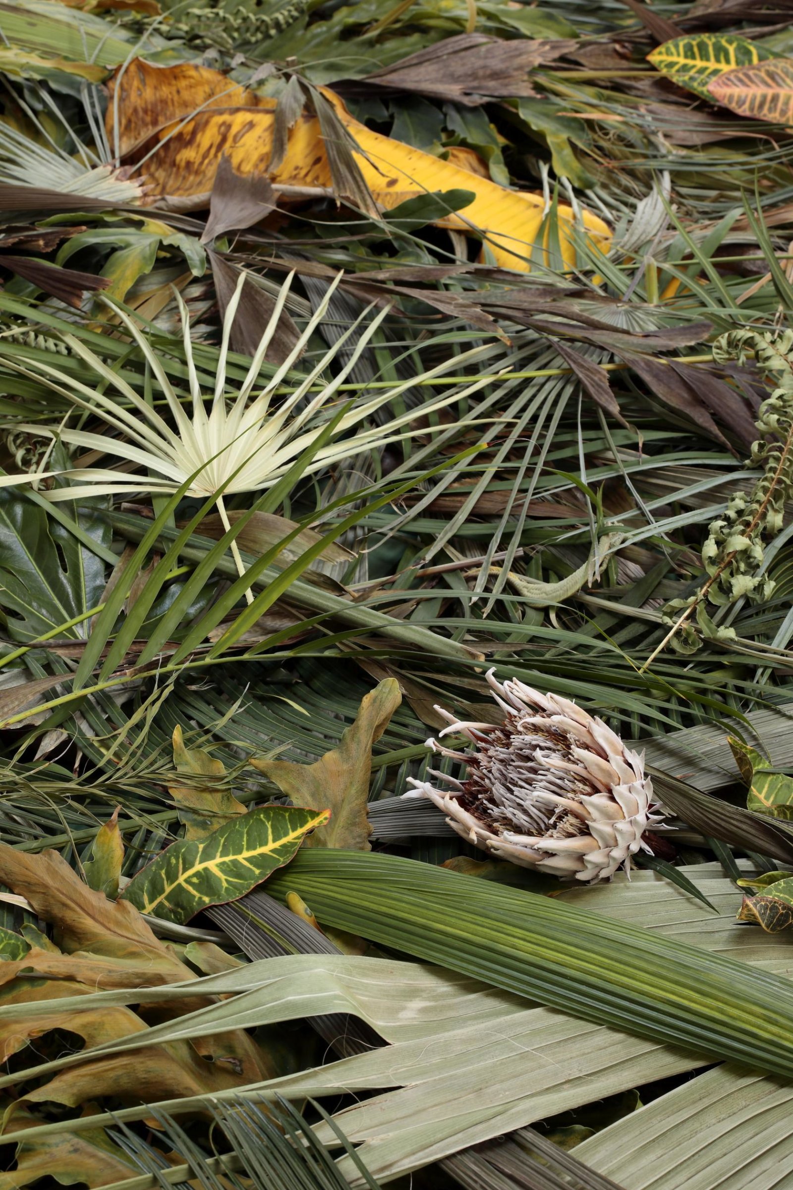 Abbas Akhavan, Study for a Curtain (detail), 2015/2018, installation including exposed skylight, floral foam, oscillating fan, removal of all lights, tropical plants, wind chime, 156 x 120 in. (396 x 305 cm). Installation view, Hedges, Edges, Dirt, Institute of Contemporary Art at Virginia Commonwealth University, Richmond, USA, 2018