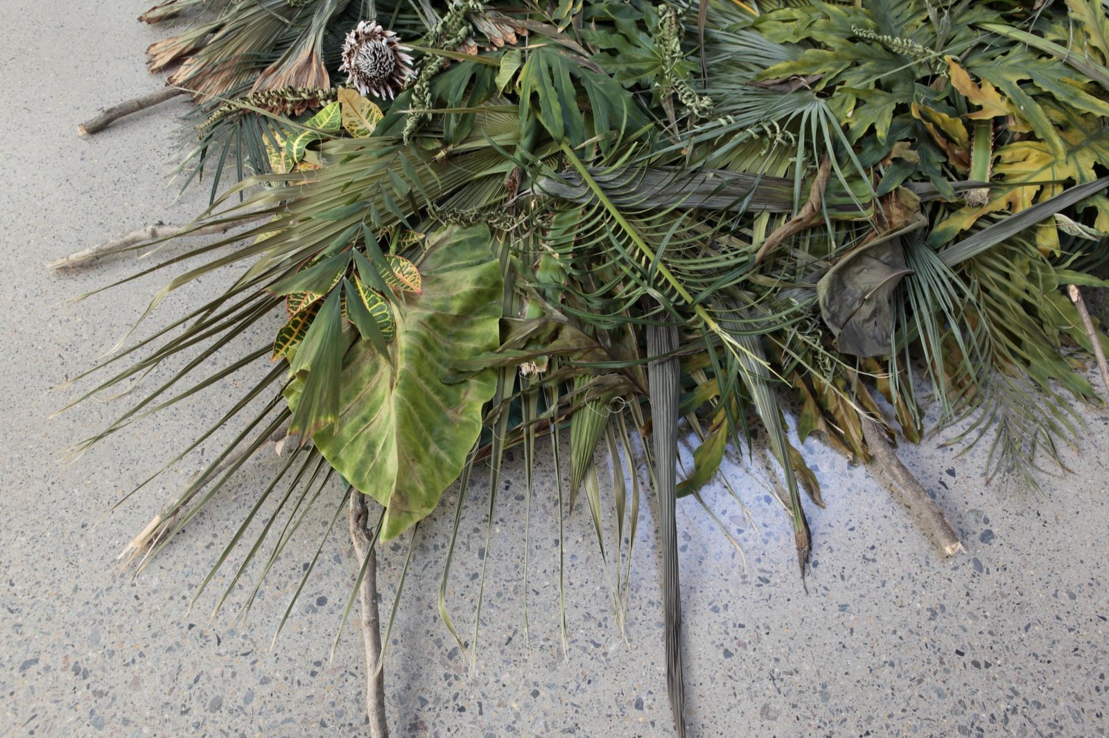 Abbas Akhavan, Study for a Curtain (detail), 2015/2018, installation including exposed skylight, floral foam, oscillating fan, removal of all lights, tropical plants, wind chime, 156 x 120 in. (396 x 305 cm). Installation view, Hedges, Edges, Dirt, Institute of Contemporary Art at Virginia Commonwealth University, Richmond, USA, 2018