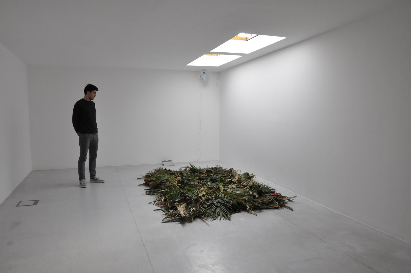 Abbas Akhavan, Study for a Curtain, 2015, tropical plants not native to UAE, wooden sticks, sand, oscillating fan, wind chime, removal of all light fixtures, exposed skylight, dimensions variable. Installation view, The Third Line, Dubai, UAE, 2015