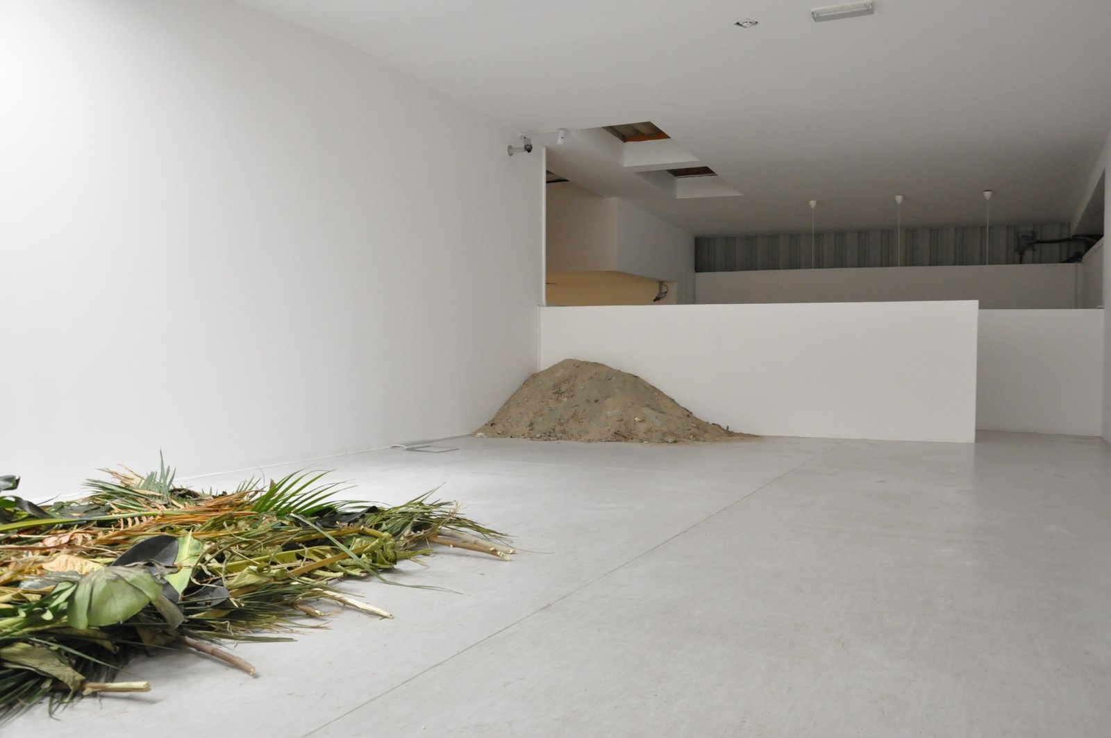 Abbas Akhavan, Study for a Curtain, 2015, tropical plants not native to UAE, wooden sticks, sand, oscillating fan, wind chime, removal of all light fixtures, exposed skylight, dimensions variable. Installation view, The Third Line, Dubai, UAE, 2015