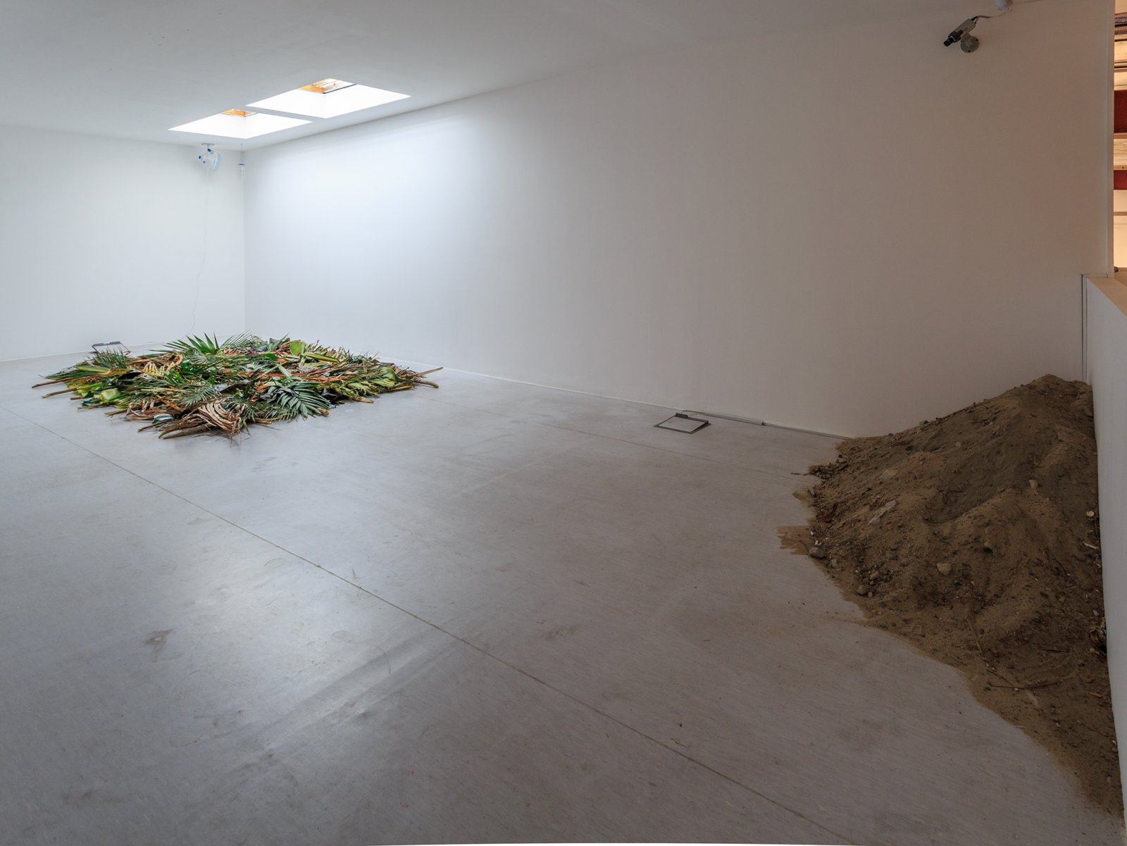 Abbas Akhavan, Study for a Curtain, 2015, tropical plants not native to UAE, wooden sticks, sand, oscillating fan, wind chime, removal of all light fixtures, exposed skylight, dimensions variable. Installation view, The Third Line, Dubai, UAE, 2015