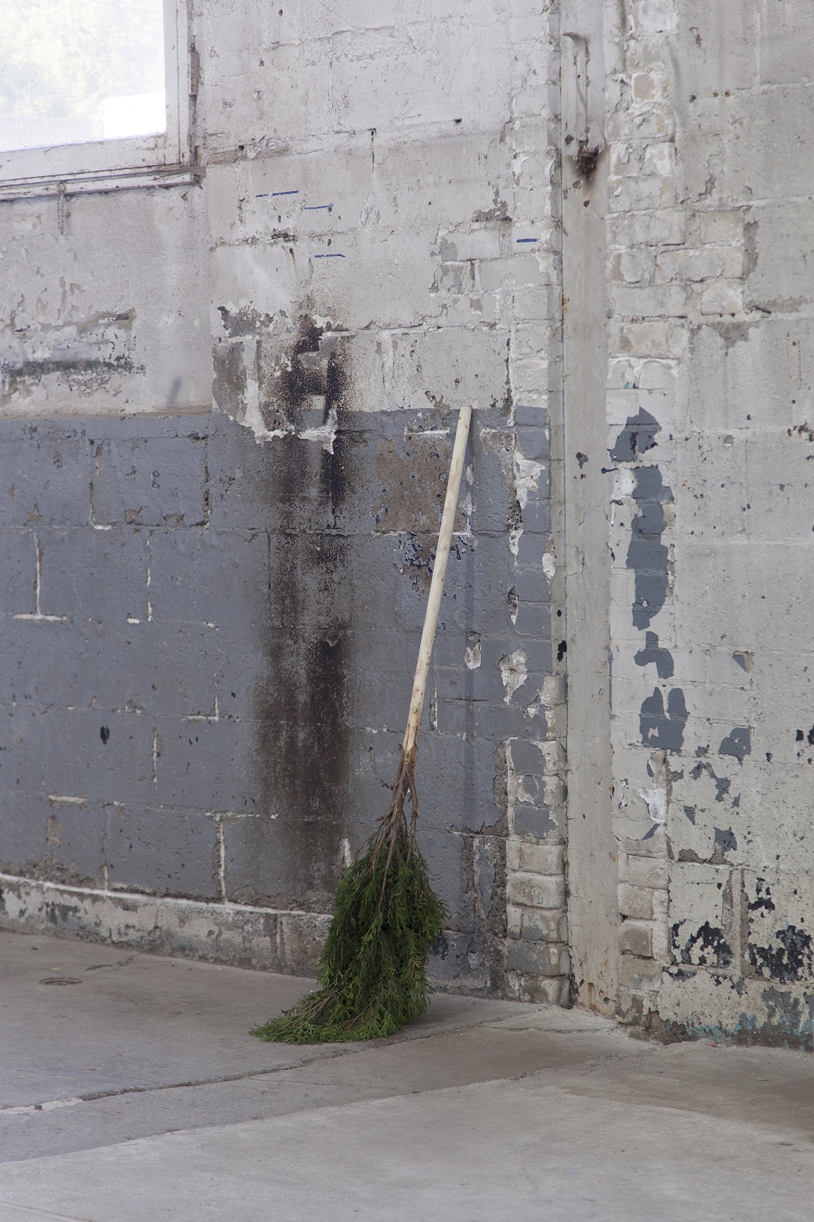 Abbas Akhavan, Study for a Garden, 2018, cedar tree, 50 x 16 in. (127 x 40 cm). Installation view, Folly, Vie d’ange, Montreal, 2018