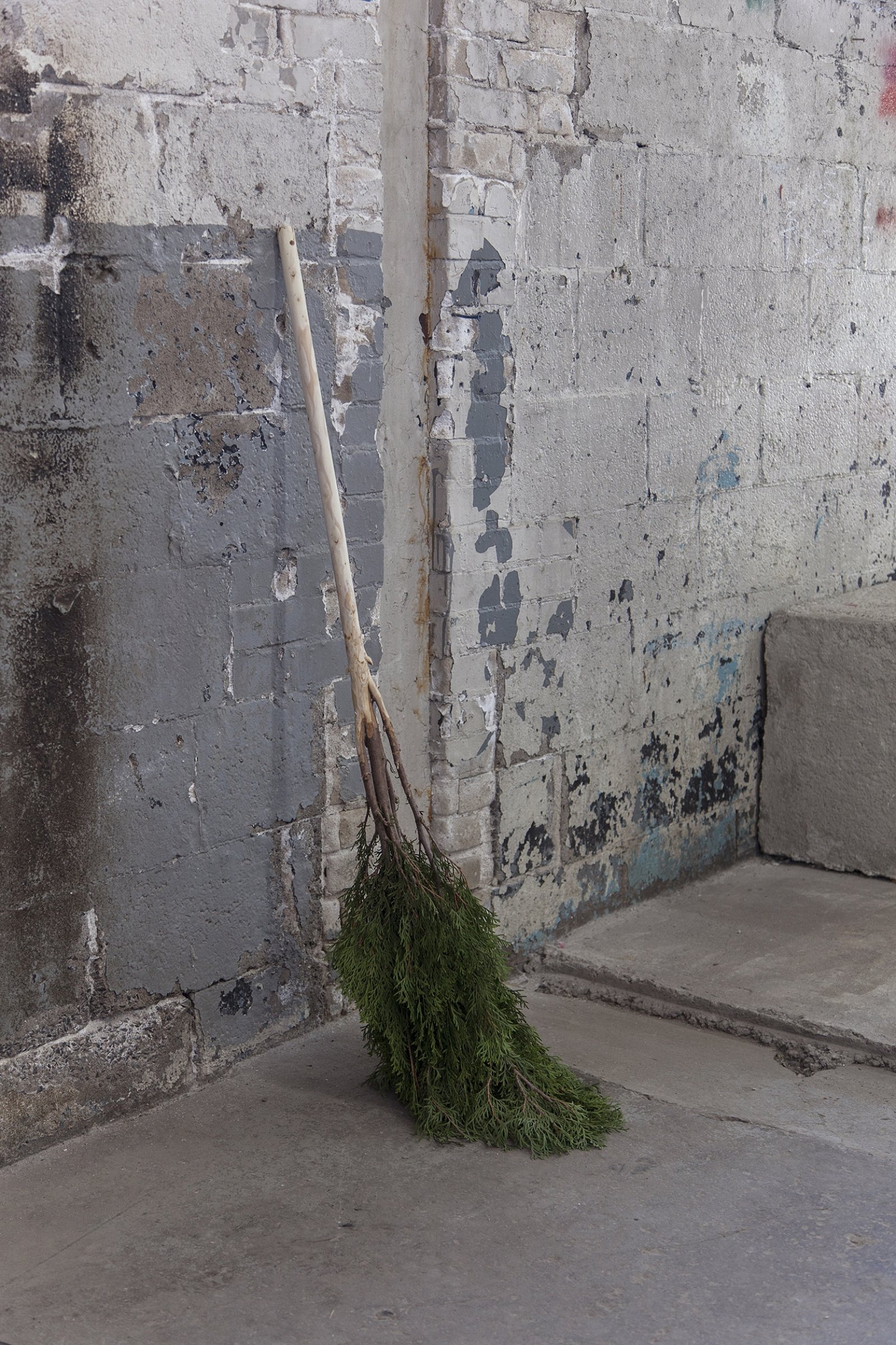 Abbas Akhavan, Study for a Garden, 2018, cedar tree, 50 x 16 in. (127 x 40 cm). Installation view, Folly, Vie d’ange, Montreal, 2018