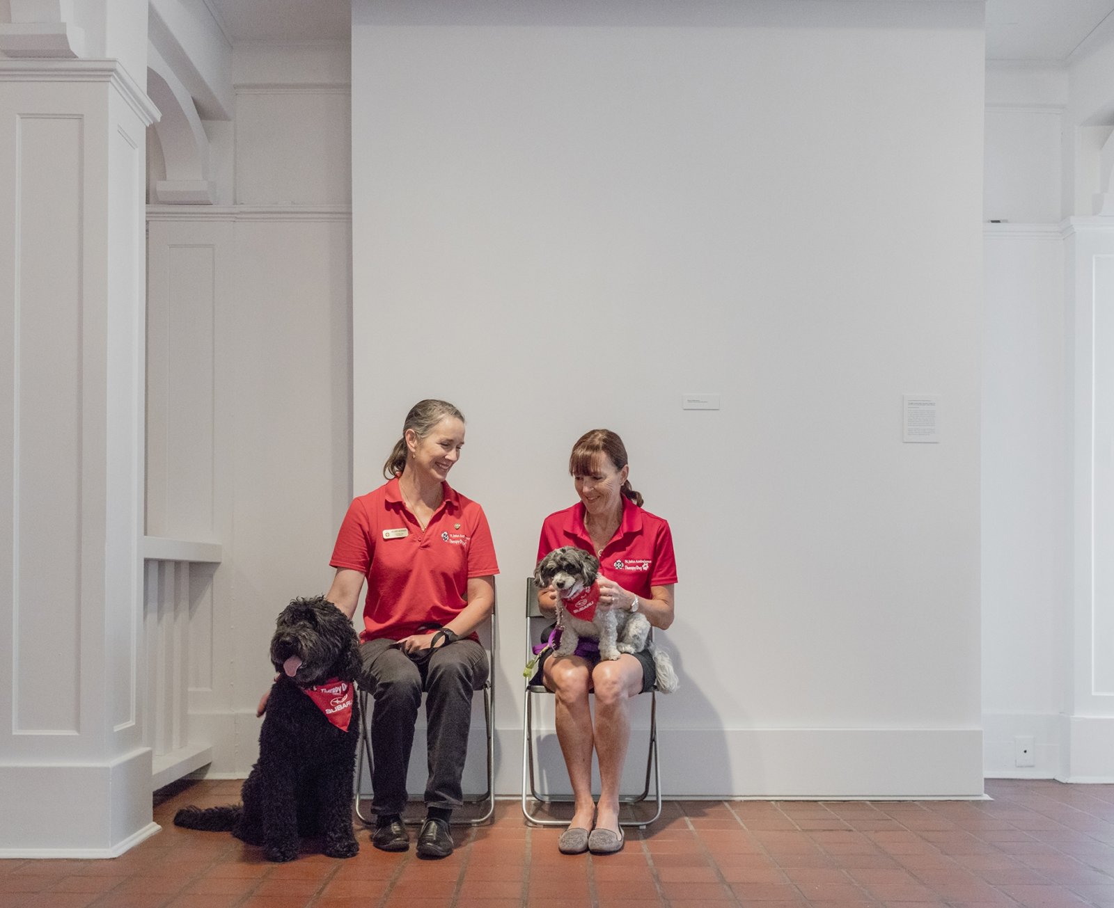 Abbas Akhavan, Untitled, 2017, 2 chairs, 2 therapy dogs with handlers, dimensions variable. Installation view, Propped, Oakville Galleries, Oakville, Canada, 2017
