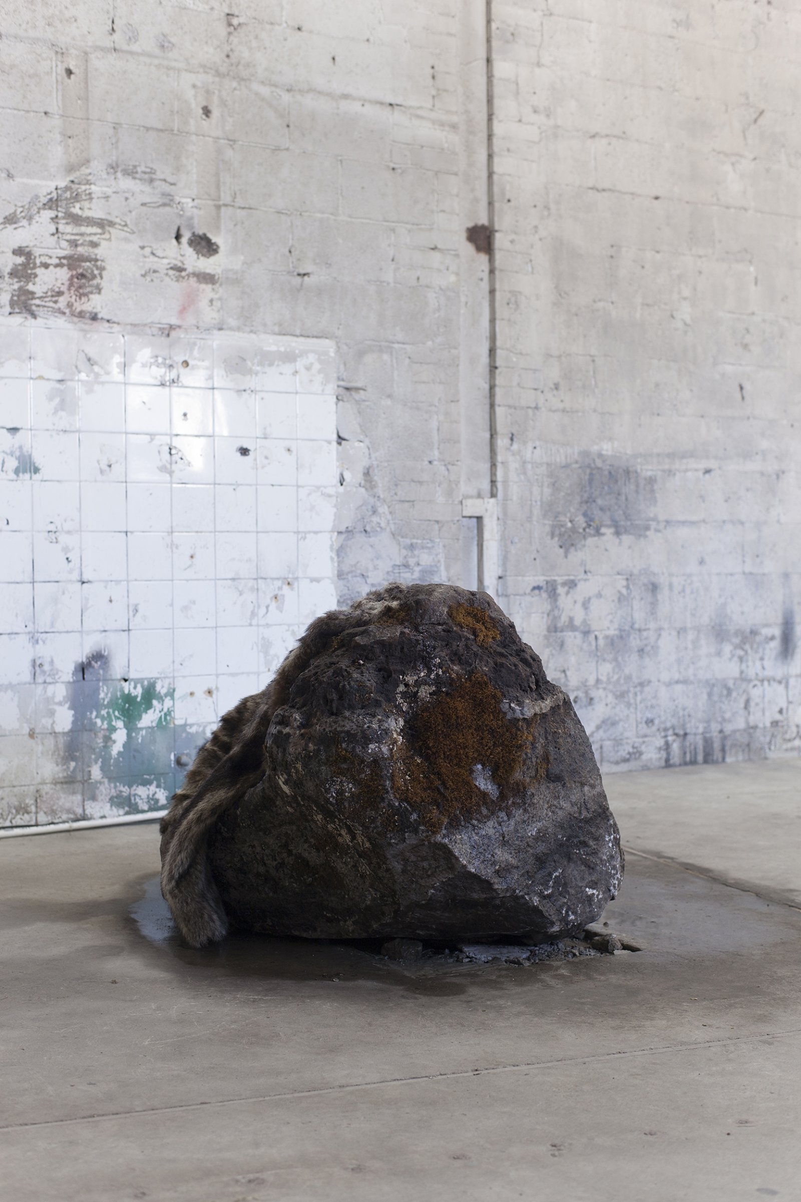 Abbas Akhavan, Untitled, 2018, erratic boulder, water system, vintage fur coat, plastic bag, 40 x 30 x 31 in. (102 x 75 x 80 cm). Installation view, Folly, Vie d’ange, Montreal, 2018