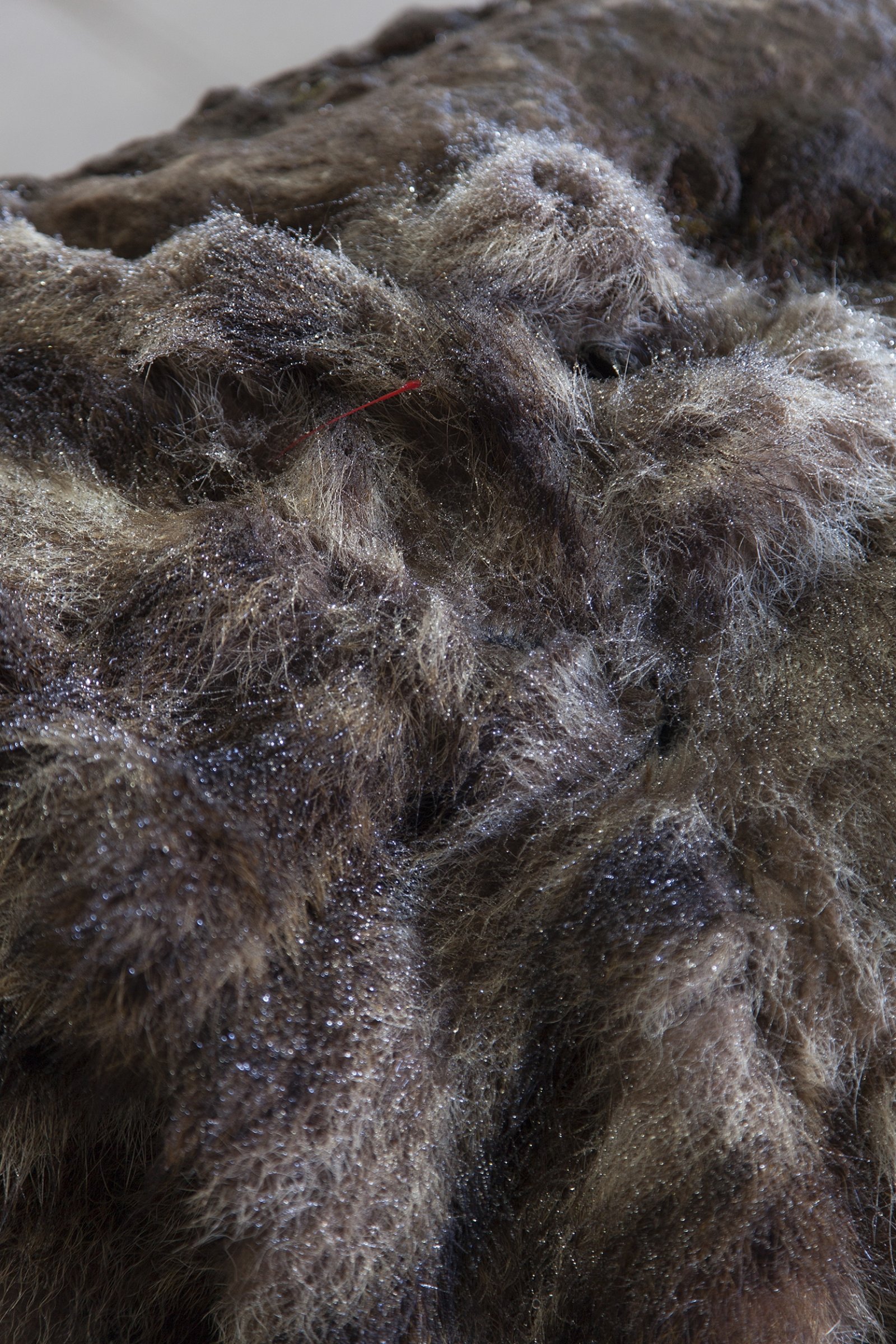 Abbas Akhavan, Untitled (detail), 2018, erratic boulder, water system, vintage fur coat, plastic bag, 40 x 30 x 31 in. (102 x 75 x 80 cm). Installation view, Folly, Vie d’ange, Montreal, 2018