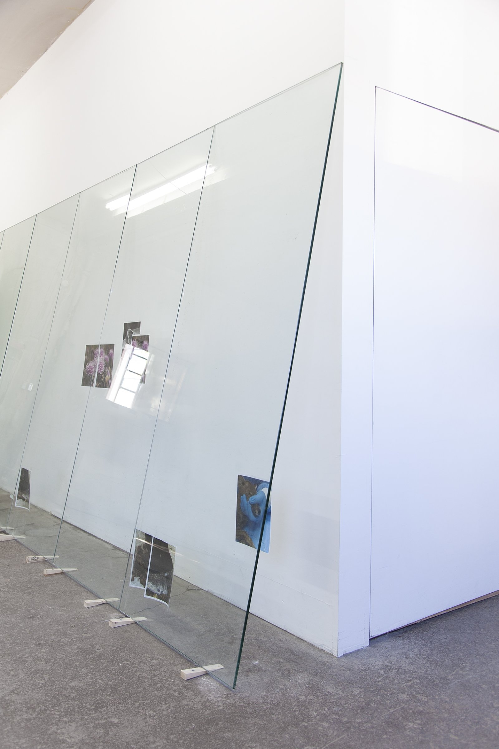 Abbas Akhavan, Untitled (detail), 2018, tempered glass, laser printed photographs, cellophane tape, misting system, water, wood shims, 212 x 96 x 24 in. (539 x 244 x 61 cm). Installation view, Folly, Vie d’ange, Montreal, 2018