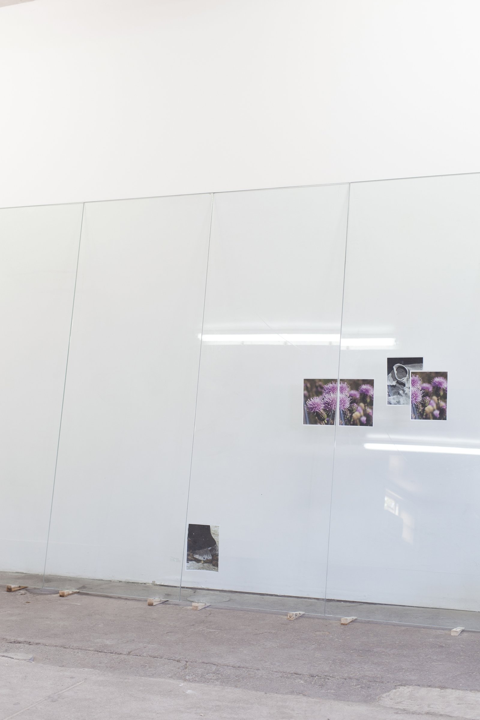 Abbas Akhavan, Untitled (detail), 2018, tempered glass, laser printed photographs, cellophane tape, misting system, water, wood shims, 212 x 96 x 24 in. (539 x 244 x 61 cm). Installation view, Folly, Vie d’ange, Montreal, 2018