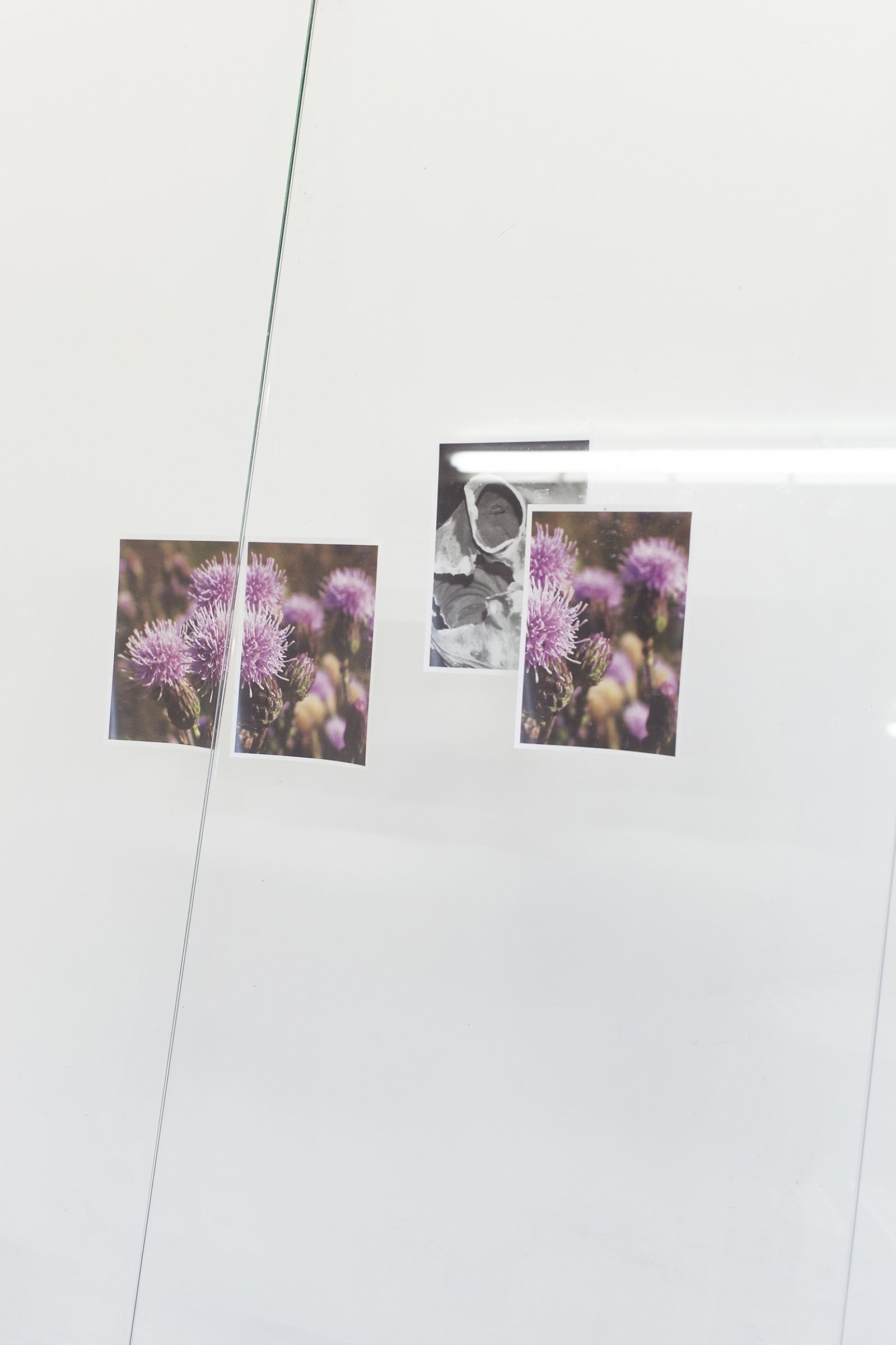 Abbas Akhavan, Untitled (detail), 2018, tempered glass, laser printed photographs, cellophane tape, misting system, water, wood shims, 212 x 96 x 24 in. (539 x 244 x 61 cm). Installation view, Folly, Vie d’ange, Montreal, 2018
