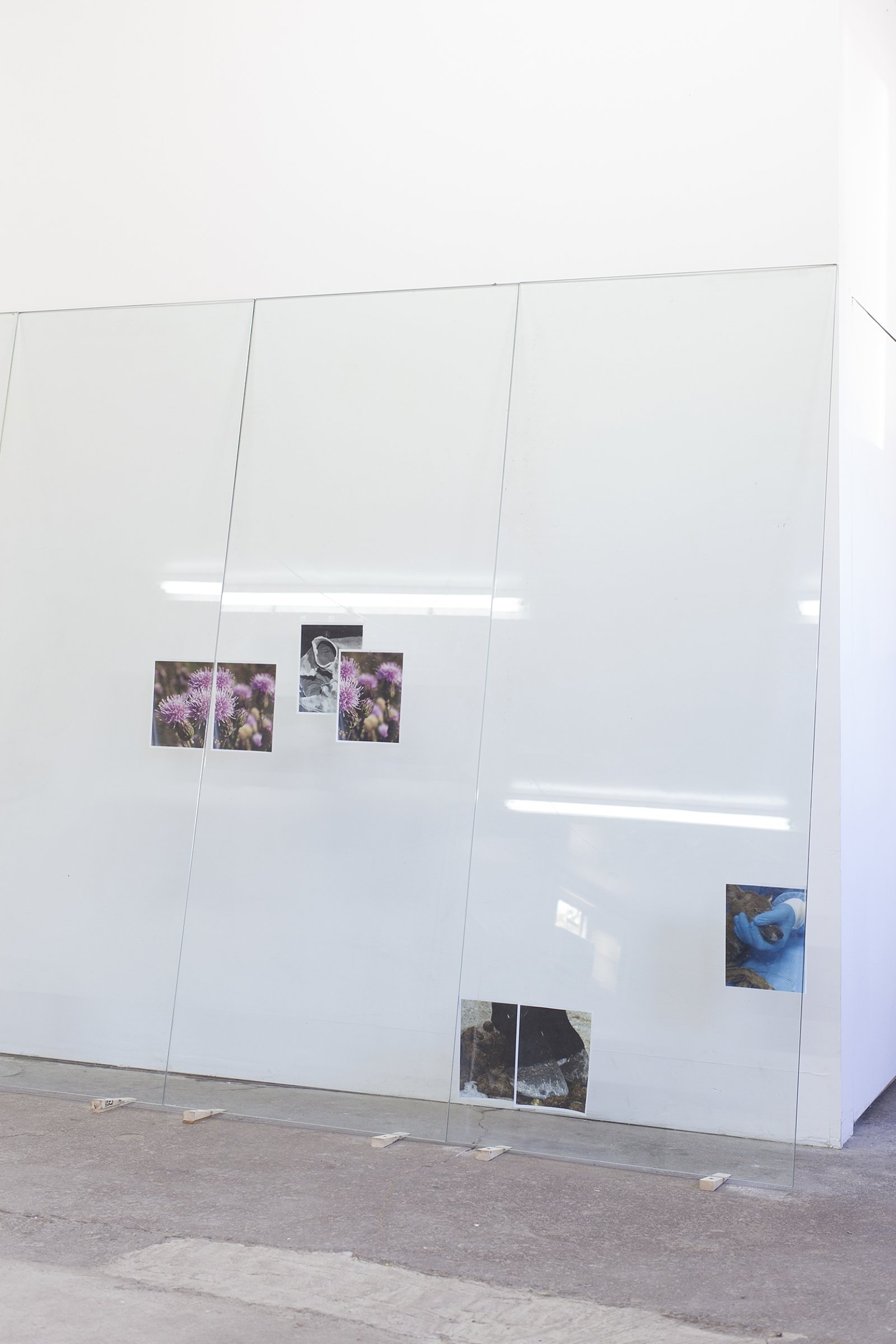 Abbas Akhavan, Untitled (detail), 2018, tempered glass, laser printed photographs, cellophane tape, misting system, water, wood shims, 212 x 96 x 24 in. (539 x 244 x 61 cm). Installation view, Folly, Vie d’ange, Montreal, 2018
