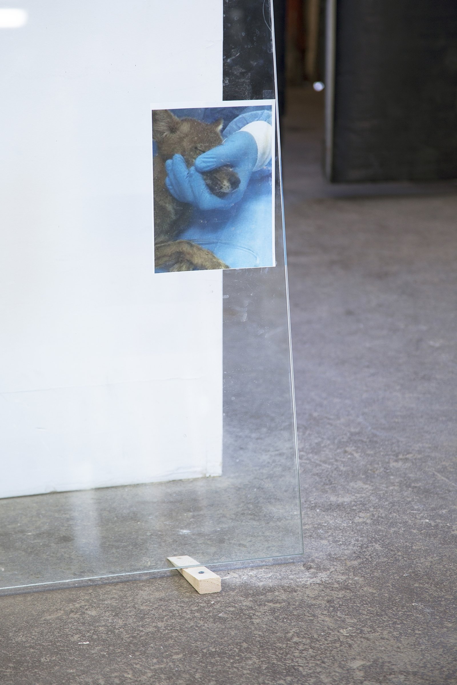 Abbas Akhavan, Untitled (detail), 2018, tempered glass, laser printed photographs, cellophane tape, misting system, water, wood shims, 212 x 96 x 24 in. (539 x 244 x 61 cm). Installation view, Folly, Vie d’ange, Montreal, 2018