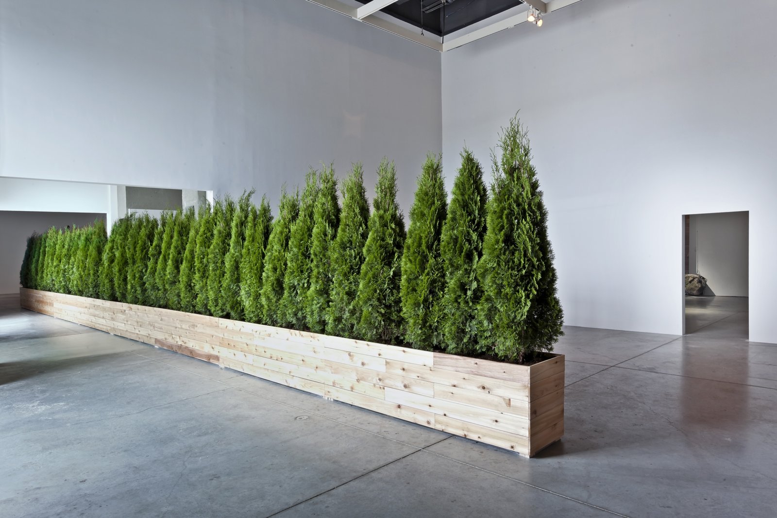 Abbas Akhavan, Untitled Garden, 2008/2012, emerald cedar trees, cedar planters, soil, 98 x 984 x 24 in. (250 x 2500 x 60 cm). Installation view, Tools for Conviviality, The Power Plant, Toronto, Canada, 2012