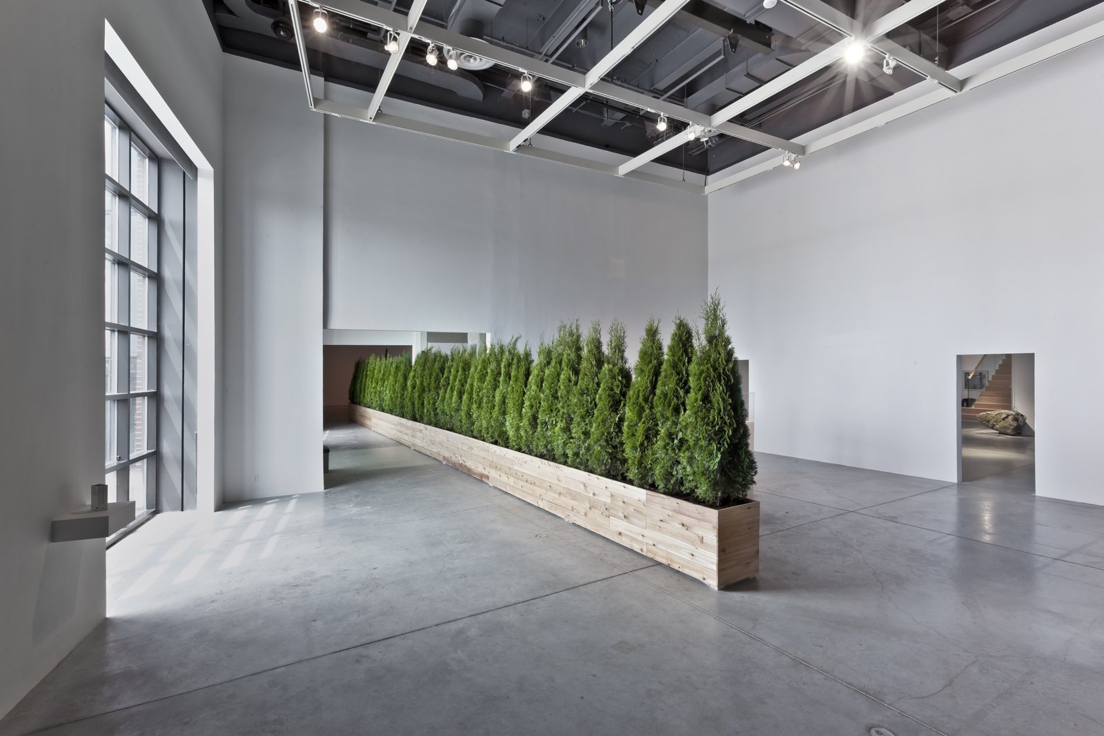 Abbas Akhavan, Untitled Garden, 2008/2012, emerald cedar trees, cedar planters, soil, 98 x 984 x 24 in. (250 x 2500 x 60 cm). Installation view, Tools for Conviviality, The Power Plant, Toronto, Canada, 2012