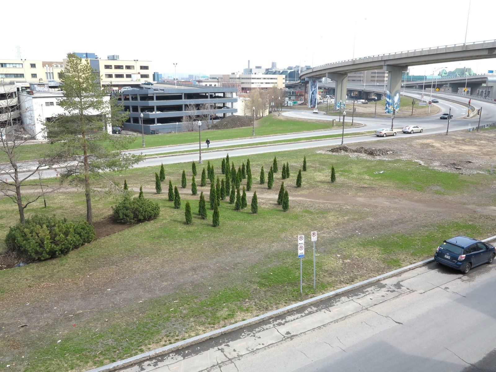 Abbas Akhavan, Variations on Untitled Garden, 2014, emerald cedar trees, dimensions variable. Installation view, Manif d’art 7, Quebec City, Canada, 2014