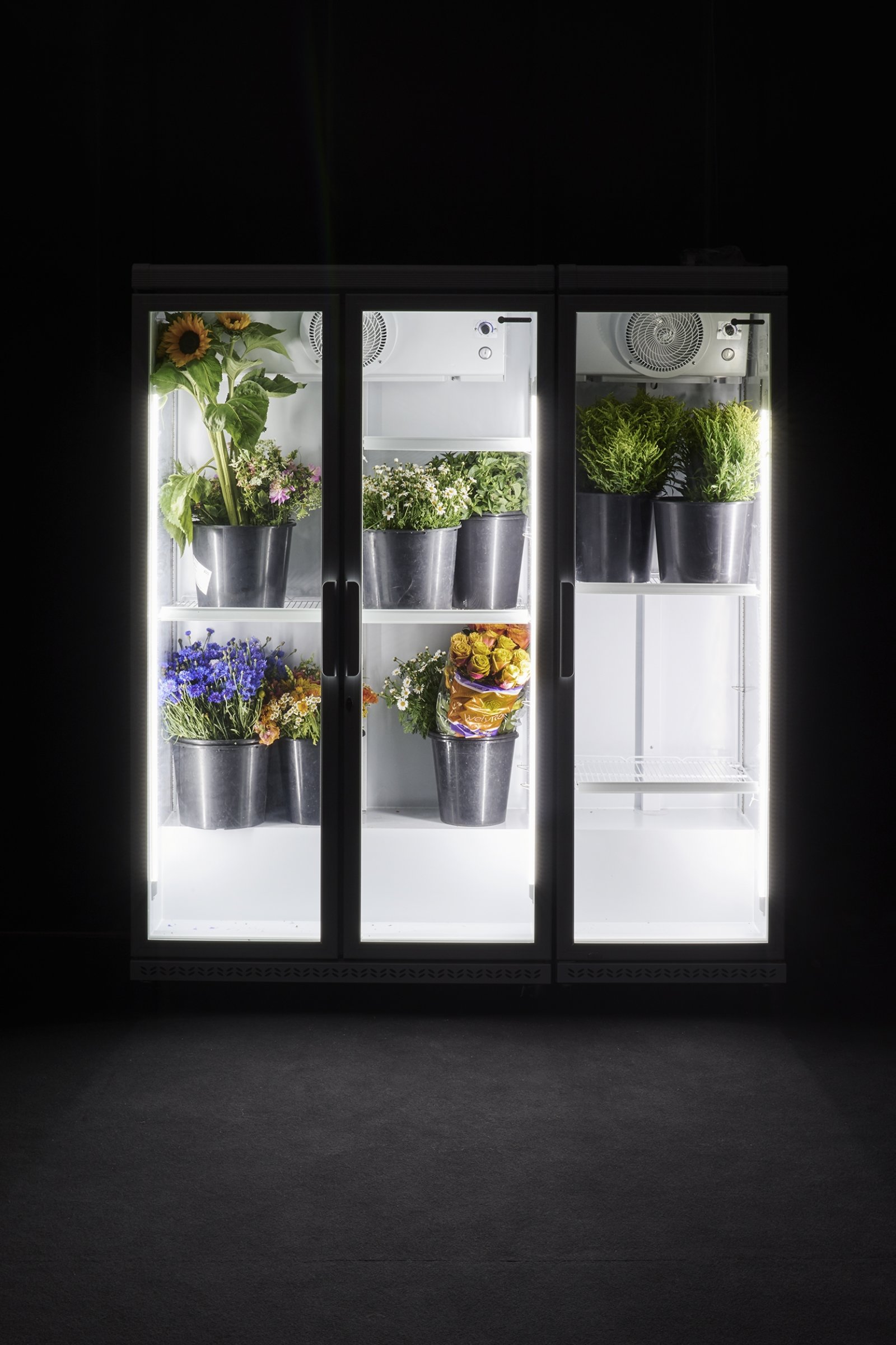 Abbas Akhavan, study for a glasshouse, 2017, refrigerators, flowers, plastic buckets, 79 x 69 x 24 in. (200 x 175 x 60 cm). Installation view, Museum Villa Stuck, Munich, Germany, 2017
 