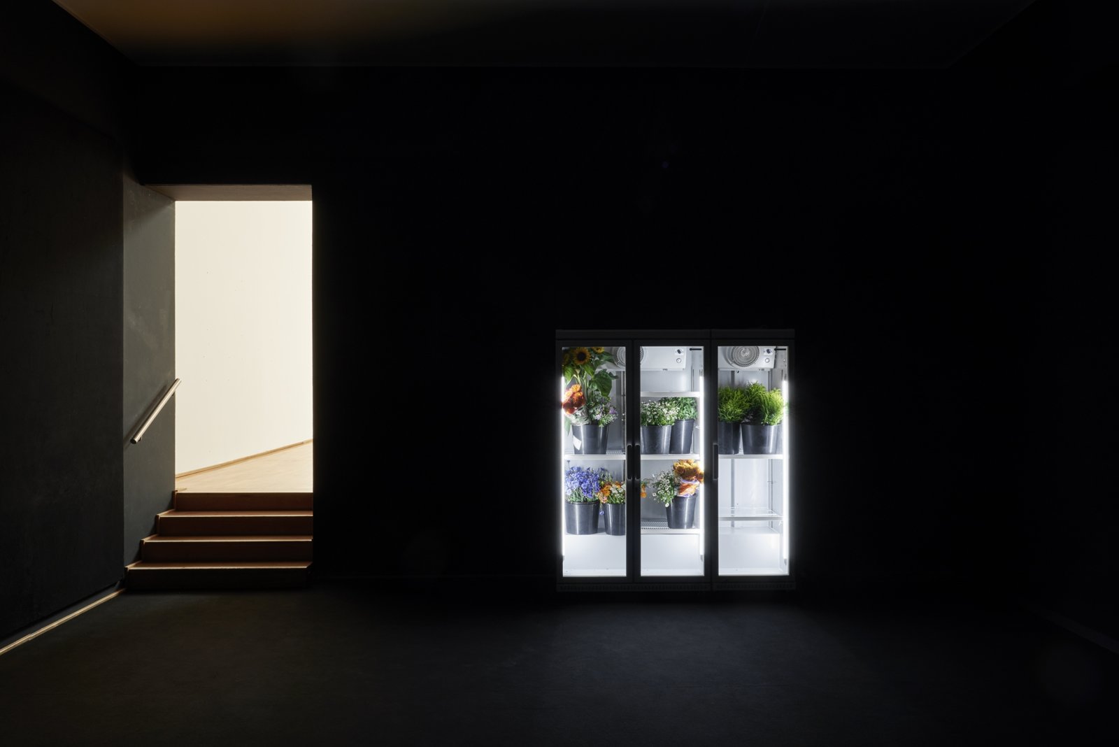 Abbas Akhavan, study for a glasshouse, 2017, refrigerators, flowers, plastic buckets, 79 x 69 x 24 in. (200 x 175 x 60 cm). Installation view, Museum Villa Stuck, Munich, Germany, 2017