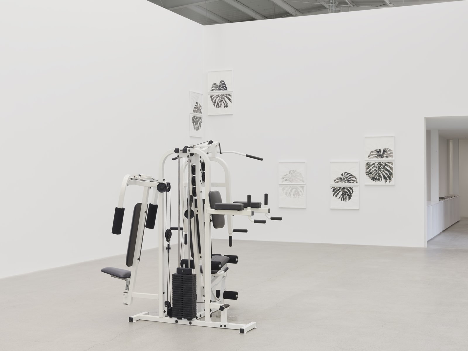 Abbas Akhavan, not titled, 2019, gym equipment, misting system, automatic water timer, water, installation dimensions variable