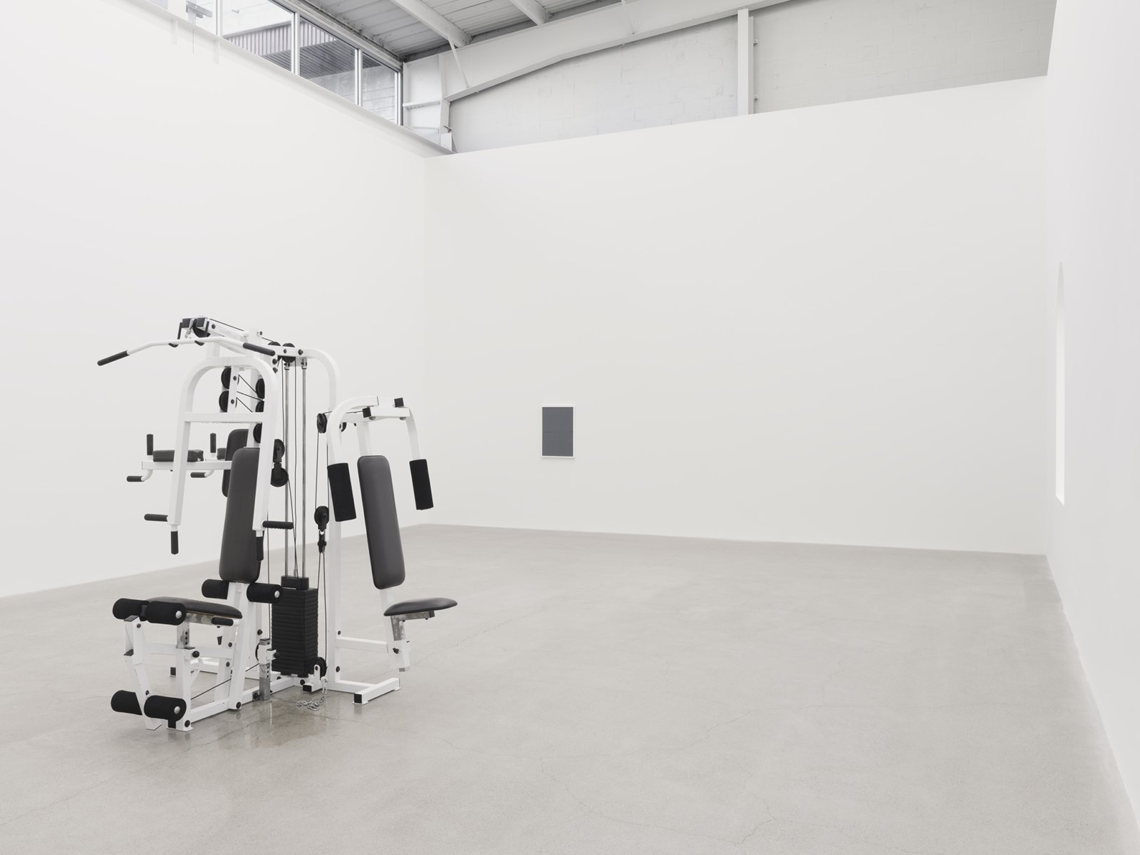 Abbas Akhavan, not titled, 2019, gym equipment, misting system, automatic water timer, water, installation dimensions variable