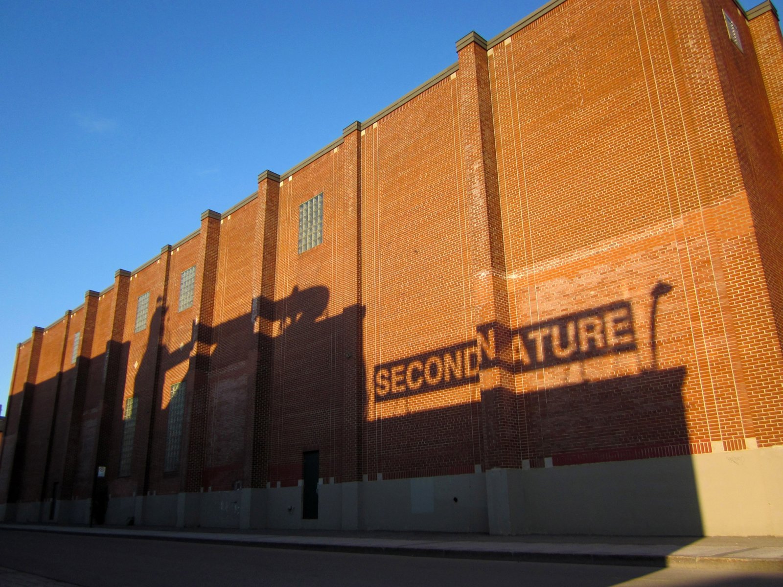 Abbas Akhavan, secondnature, 2012, cut plywood, 84 x 360 x 1 in. (213 x 914 x 3 cm). Installation view, Beacon, Darling Foundry, Montreal, Canada, 2012