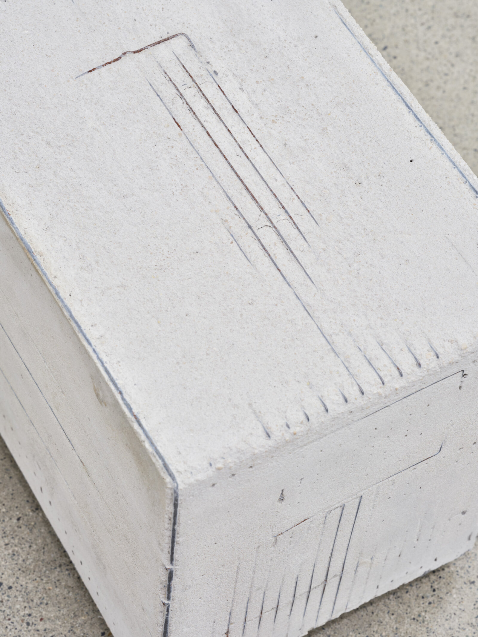 Abbas Akhavan, untitled (detail), 2022, concrete, birdcage, 13 x 18 x 10 in. (33 x 45 x 25 cm)