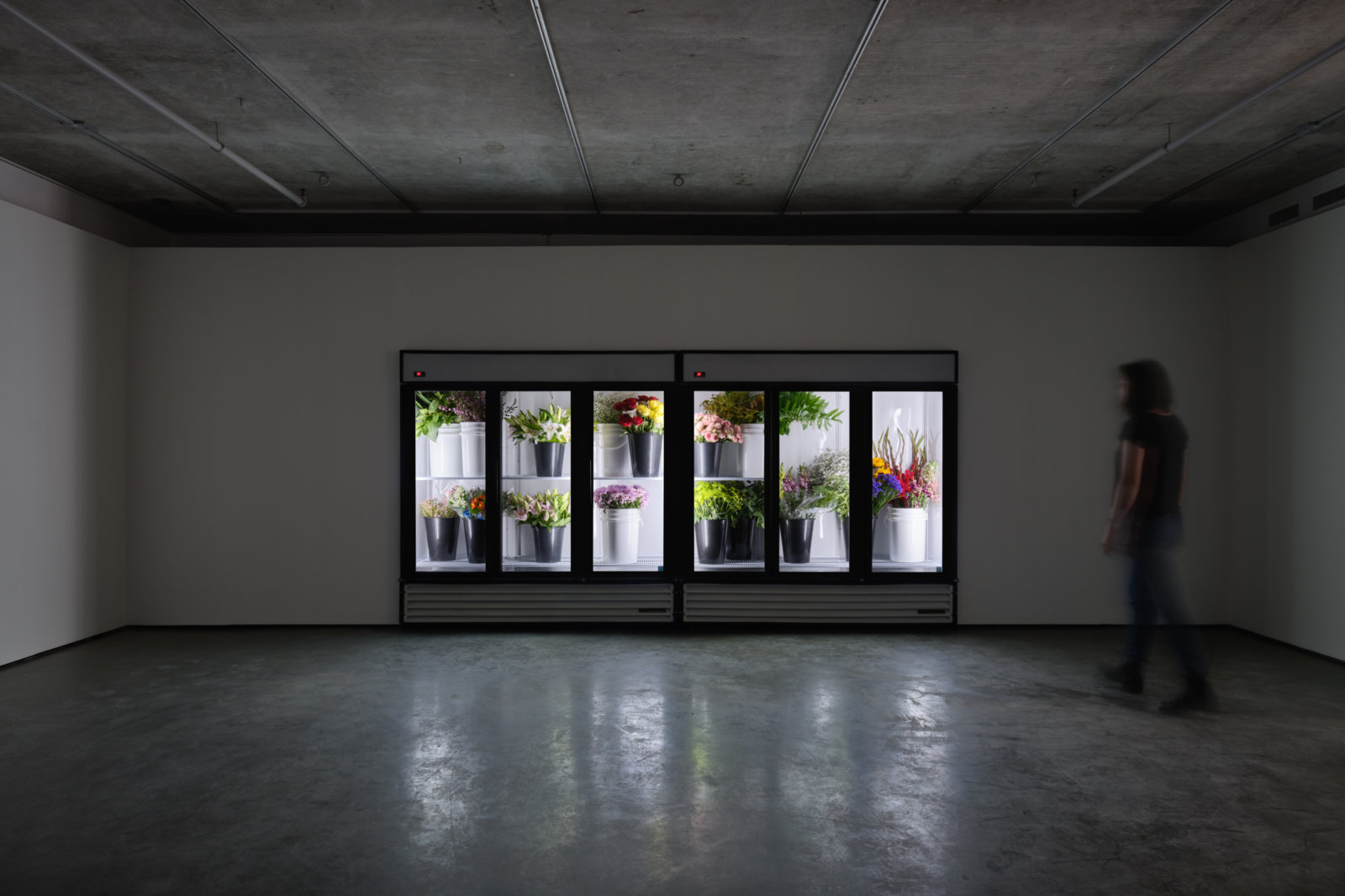 Abbas Akhavan, untitled, 2017–ongoing, refrigerators, flowers, plastic buckets, dimensions variable