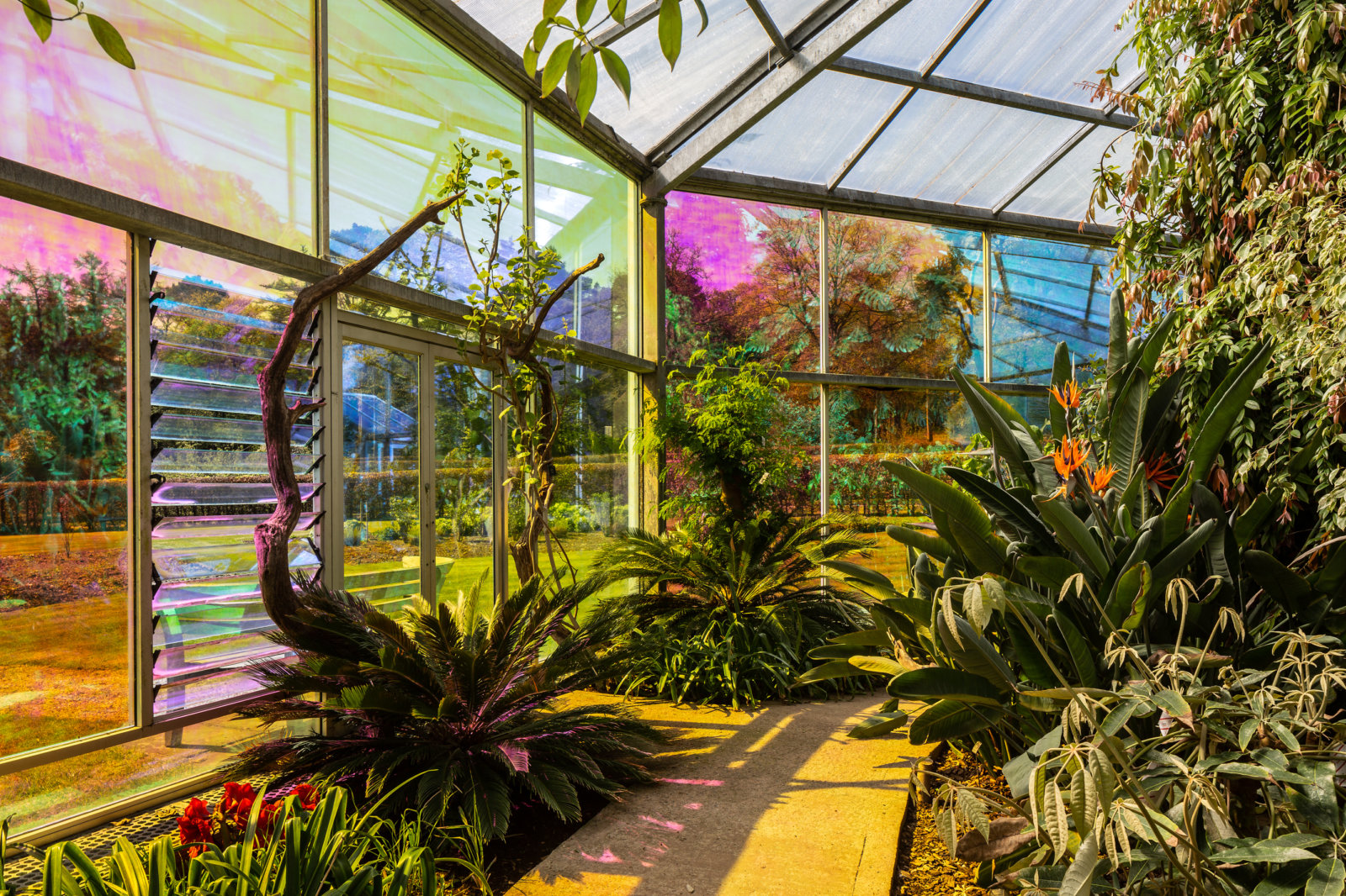 Abbas Akhavan, you used to call it blue sometimes, 2022, transparent dichroic film, audio, dimensions variable, 23 minutes. Installation view,study for a garden, Mount Stuart House, Isle of Bute, Scotland, 2022