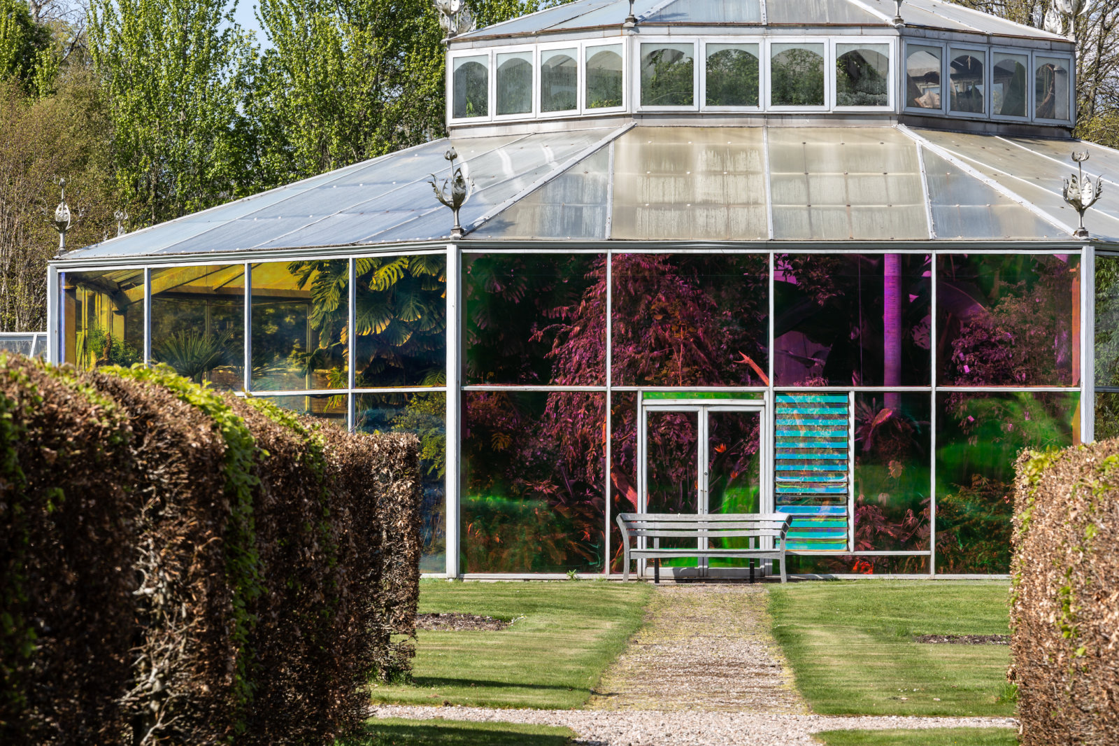 Abbas Akhavan, you used to call it blue sometimes, 2022, transparent dichroic film, audio, dimensions variable, 23 minutes. Installation view,study for a garden, Mount Stuart House, Isle of Bute, Scotland, 2022