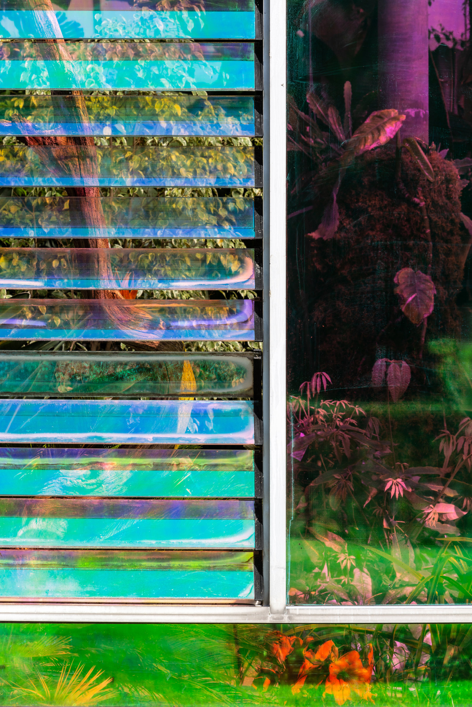 Abbas Akhavan, you used to call it blue sometimes (detail), 2022, transparent dichroic film, audio, dimensions variable, 23 minutes. Installation view, study for a garden, Mount Stuart House, Isle of Bute, Scotland, 2022