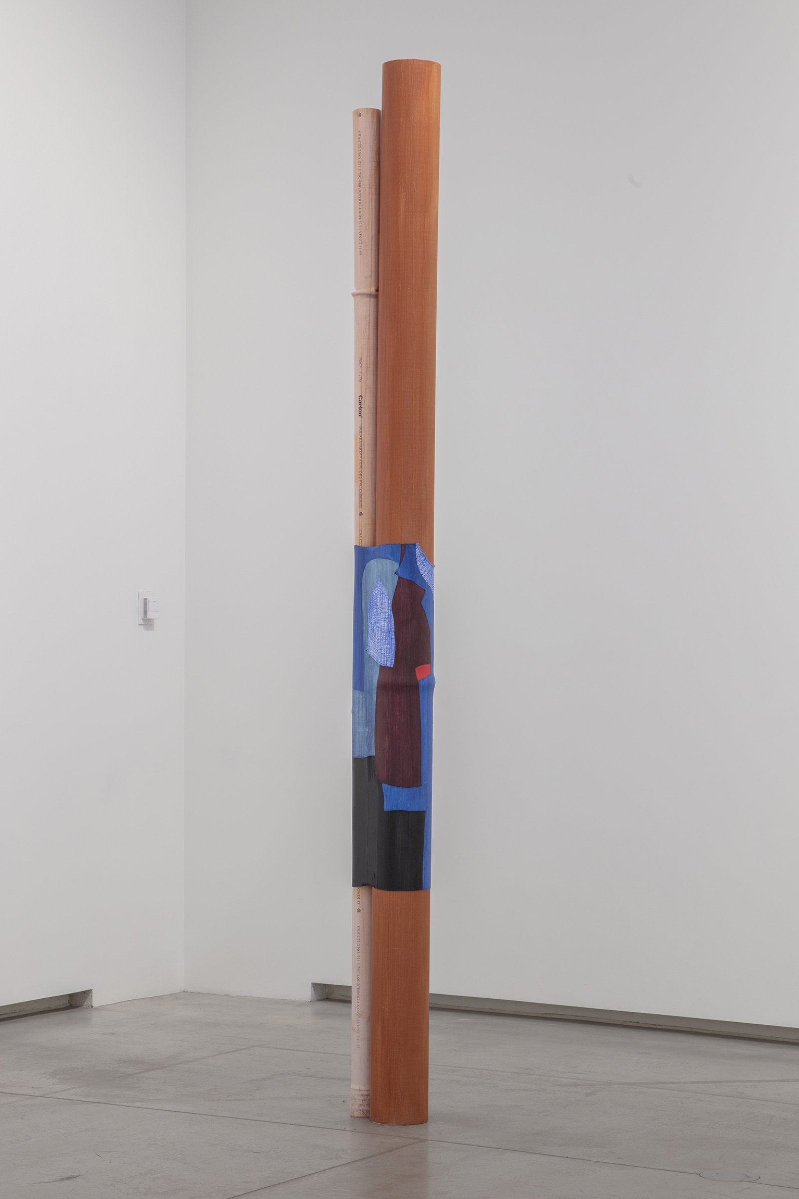 Valérie Blass, So what are your skills?, 2019, pvc pipes, heat-shrink tubing, paint, copper, inkjet print on polyester, 40 x 11 x 12 in. (100 x 27 x 30 cm), 11 x 9 x 1 in. (28 x 23 x 3 cm). Installation view, Le parlement des invisibles, Art Gallery of Ontario, Toronto, Canada, 2019