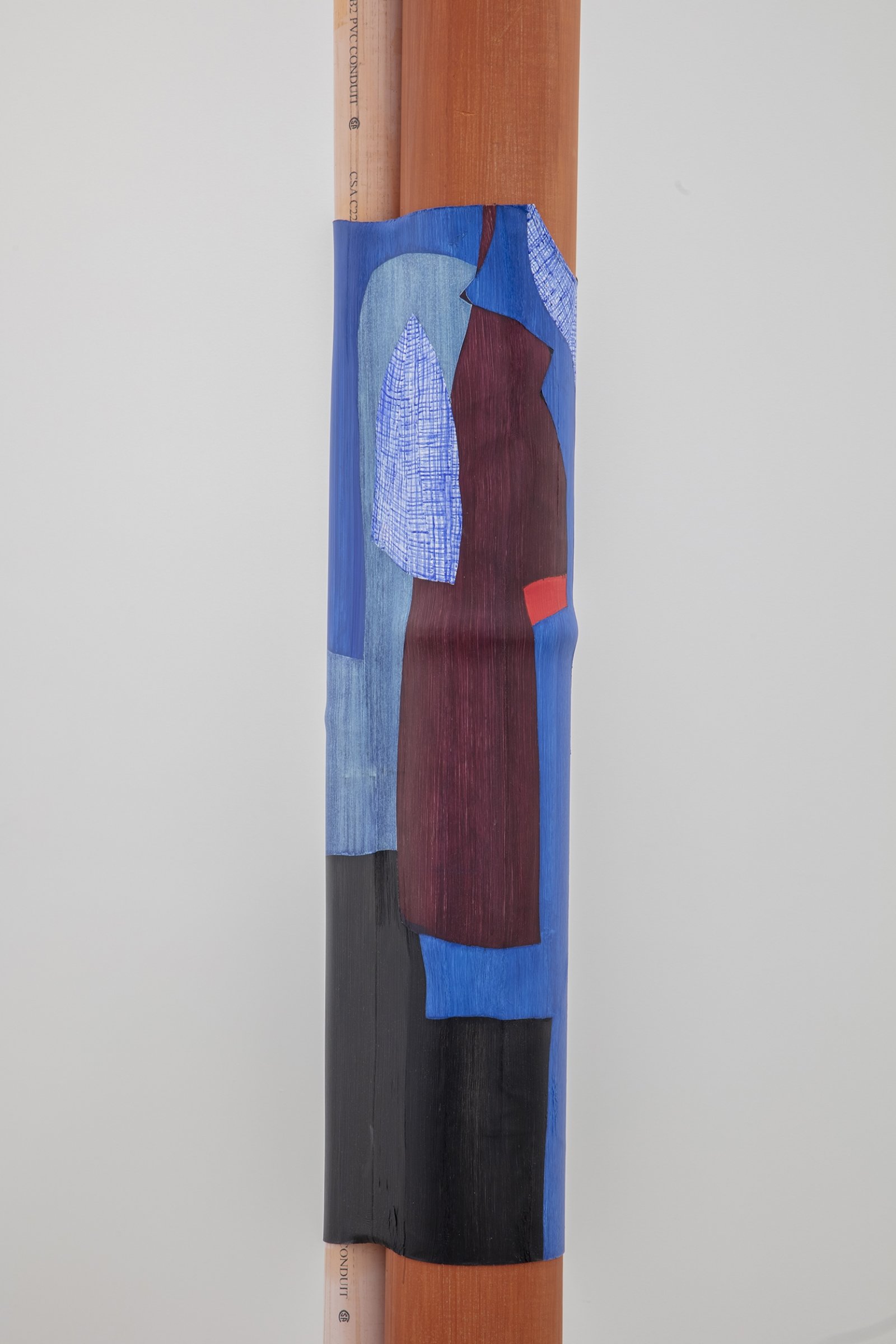 Valérie Blass, So what are your skills? (detail), 2019, pvc pipes, heat-shrink tubing, paint, copper, inkjet print on polyester, 40 x 11 x 12 in. (100 x 27 x 30 cm), 11 x 9 x 1 in. (28 x 23 x 3 cm). Installation view, Le parlement des invisibles, Art Gallery of Ontario, Toronto, Canada, 2019