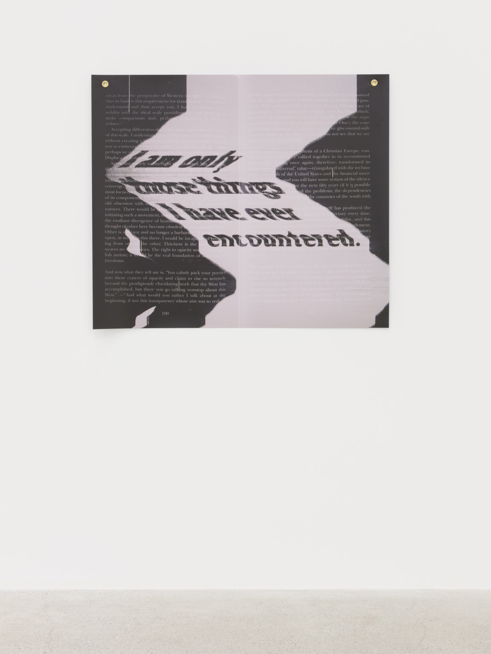 Raymond Boisjoly, After Some Imbalance, After Édouard Glissant (“…requirement for transparency.”), 2021, solvent-based inkjet print on vinyl, grommets, 36 x 42 in. (91 x 107 cm)