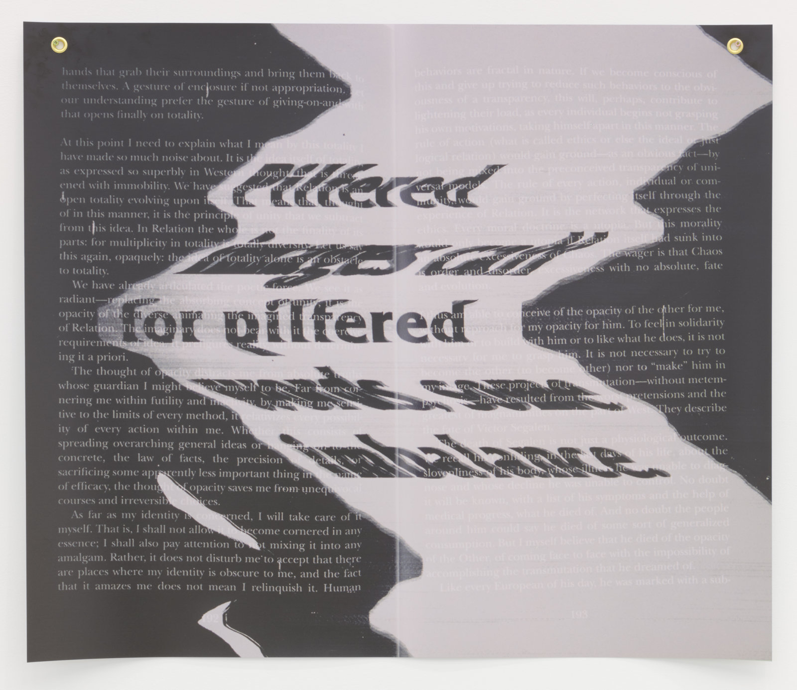 Raymond Boisjoly, After Some Imbalance, After Édouard Glissant (“…hands that grab their surroundings and bring them back to themselves.”) (detail), 2021, solvent-based inkjet print on vinyl, grommets, 36 x 42 in. (91 x 107 cm)