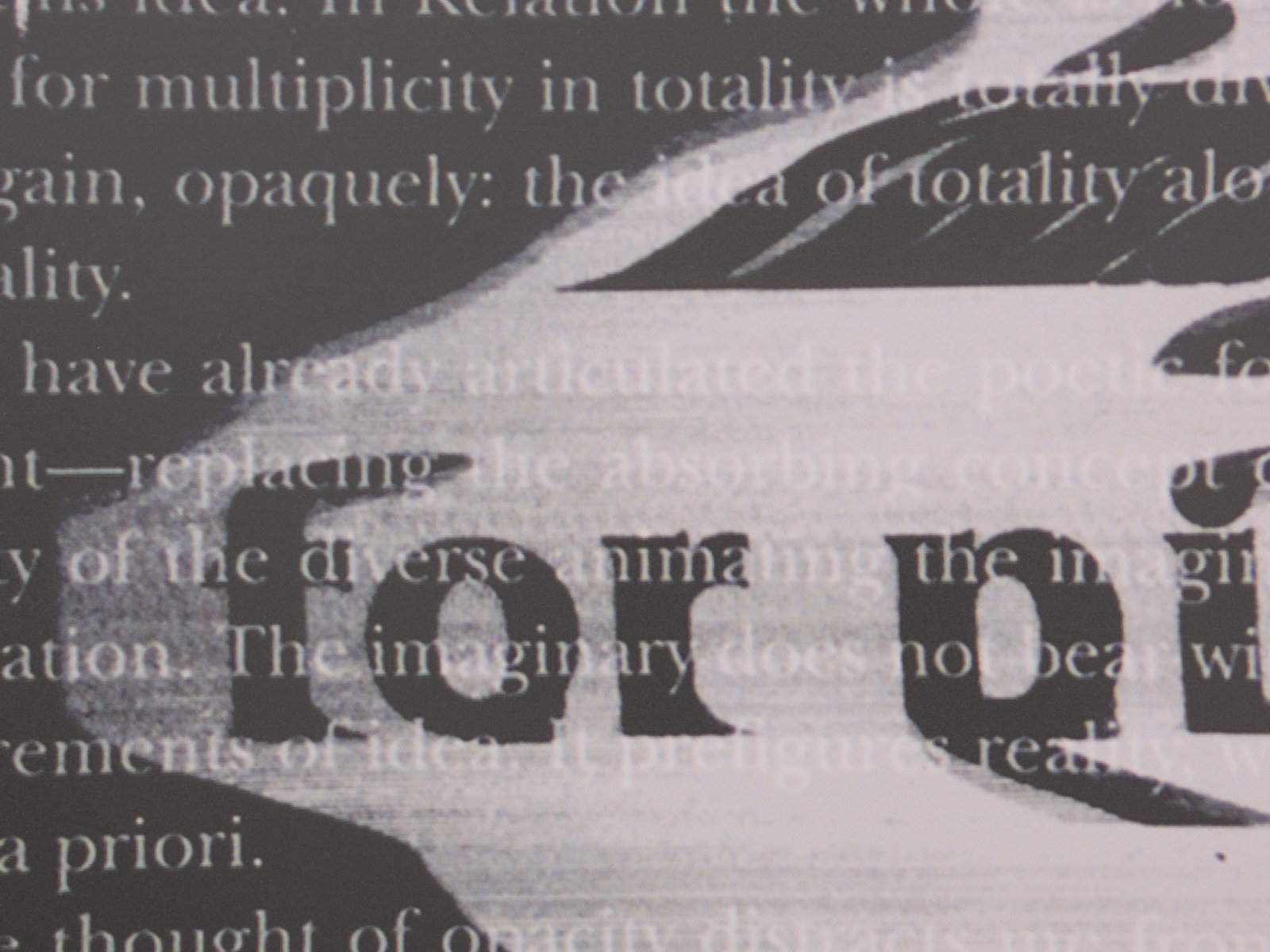 Raymond Boisjoly, After Some Imbalance, After Édouard Glissant (“…hands that grab their surroundings and bring them back to themselves.”) (detail), 2021, solvent-based inkjet print on vinyl, grommets, 36 x 42 in. (91 x 107 cm)