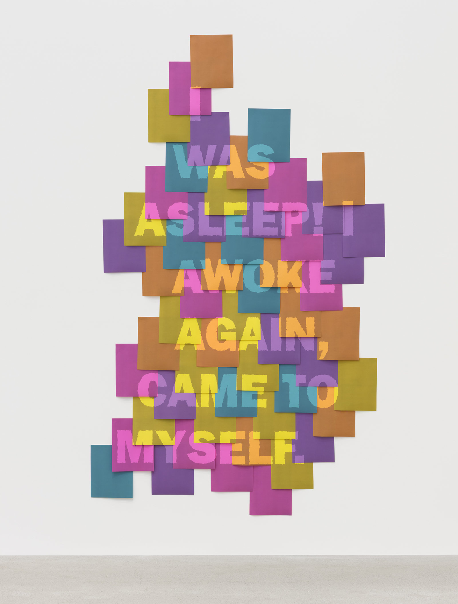 Raymond Boisjoly, As It Comes (was asleep), 2013, inkjet prints, 90 x 70 in. (229 x 178 cm)