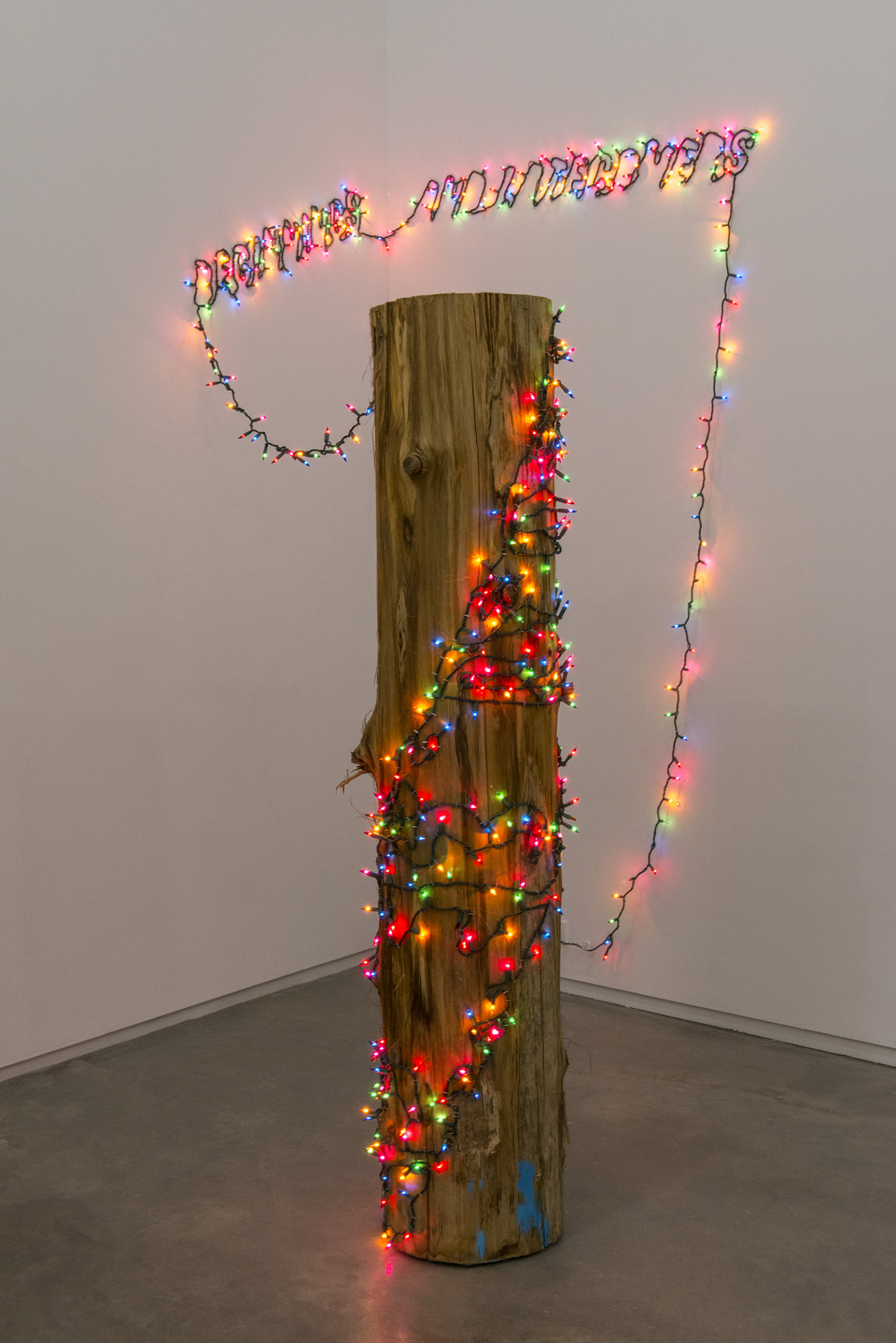Raymond Boisjoly, BEGINNINGS AND LATECOMERS, 2009, stringed lights, yellow cedar, 96 x 60 x 60 in. (244 x 153 x 153 cm)