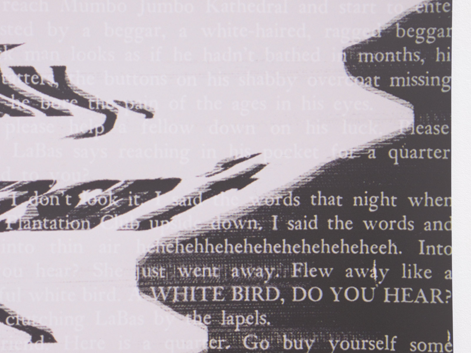 Raymond Boisjoly, After Some Imbalance, After Ishmael Reed (“He feigns surprise.”/“Why…it’s funny that you should mention it, sir, they all call him the Race President.”) (detail), 2021, solvent-based inkjet print on vinyl, grommets, 2 parts, each 36 x 42 in. (91 x 107 cm), 36 x 93 in. (91 x 236 cm) installed