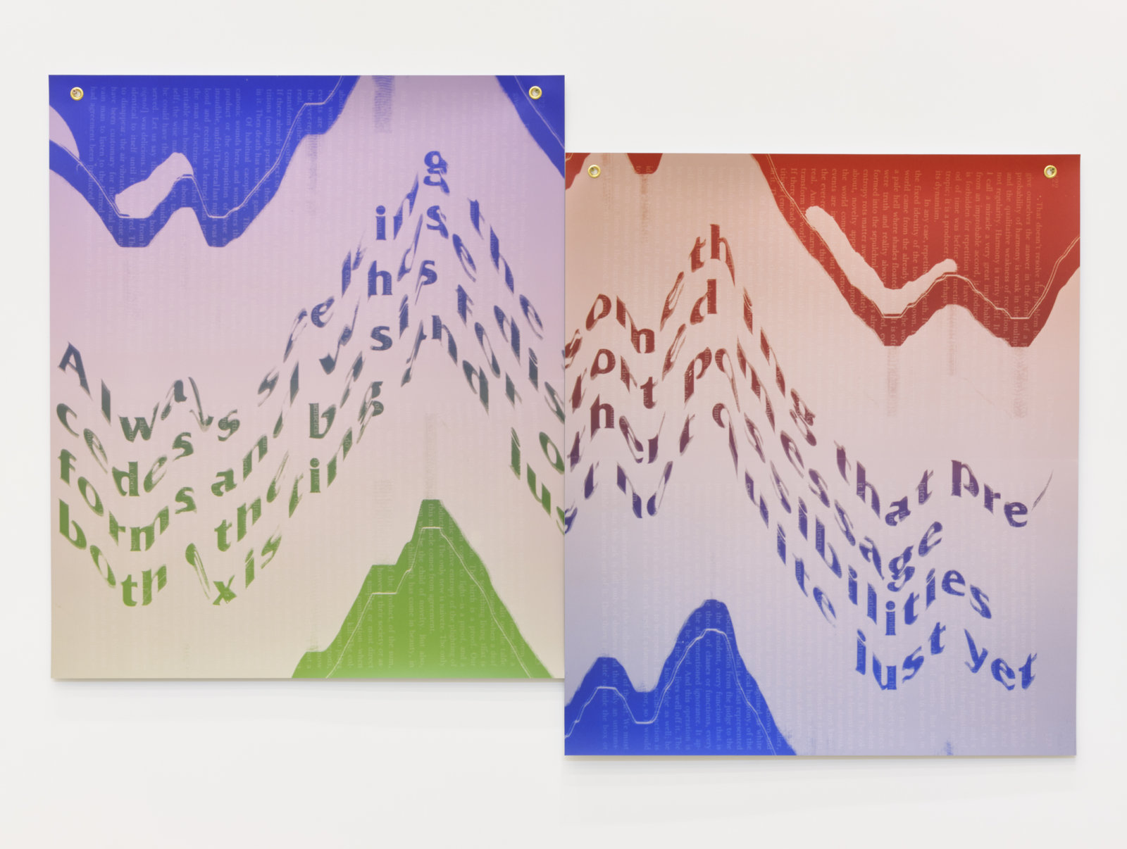 Raymond Boisjoly, Parasite (After Michel Serres), 2021, solvent-based inkjet print on vinyl, grommets 2 parts, each 42 x 36 in. (107 x 91 cm), 52 x 72 in. (132 x 183 cm)
