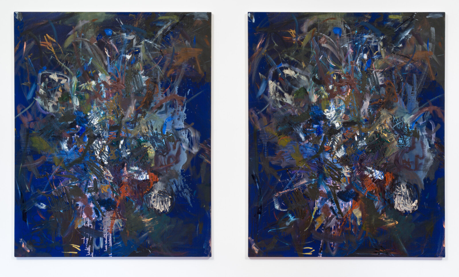 Eli Bornowsky, Abstraction, 2014, oil on 2 canvases, each 48 x 60 in. (122 x 152 cm)