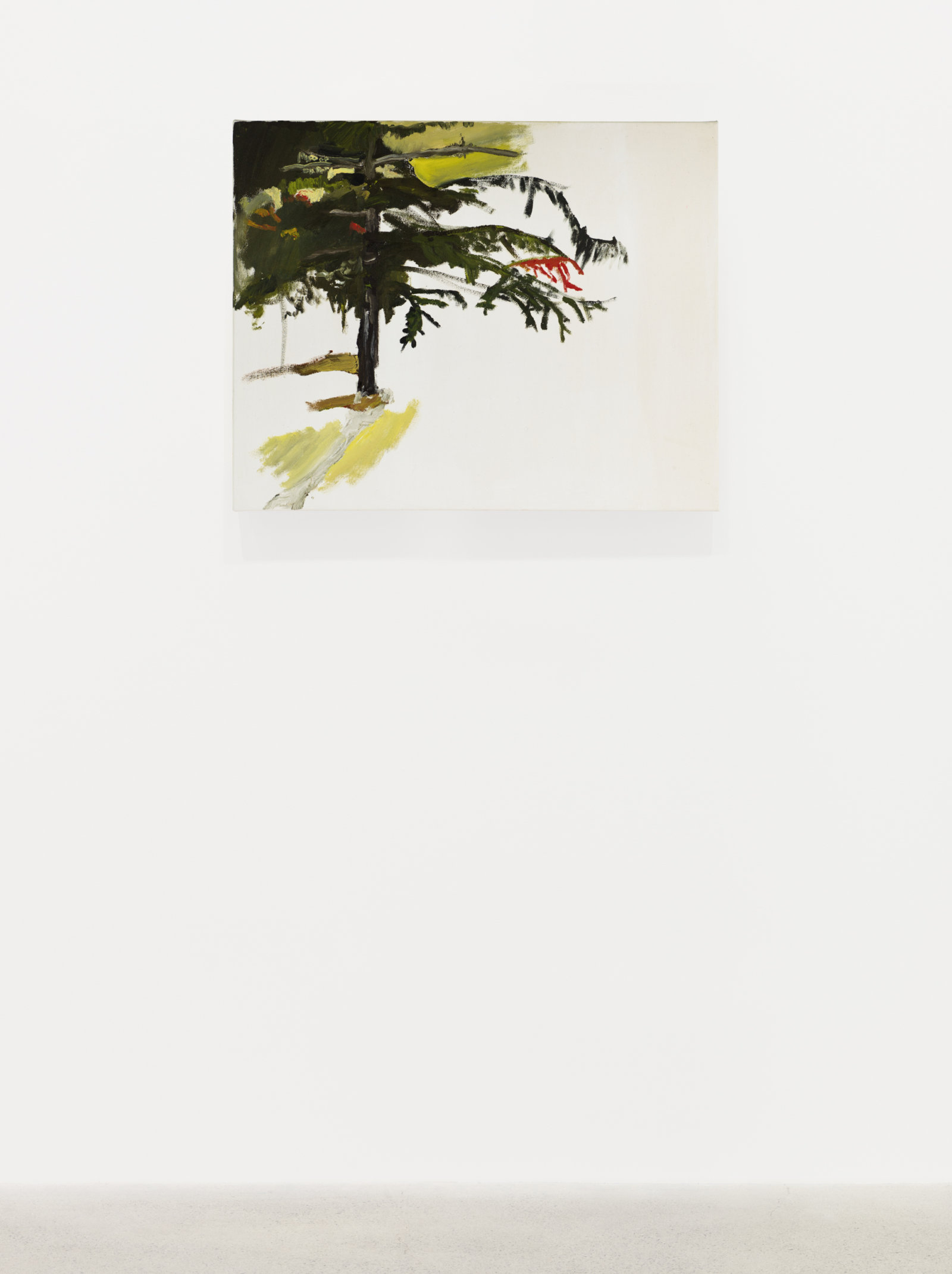 Brenda Draney, Tree, 2015, oil on canvas, 24 x 30 in. (61 x 76 cm)