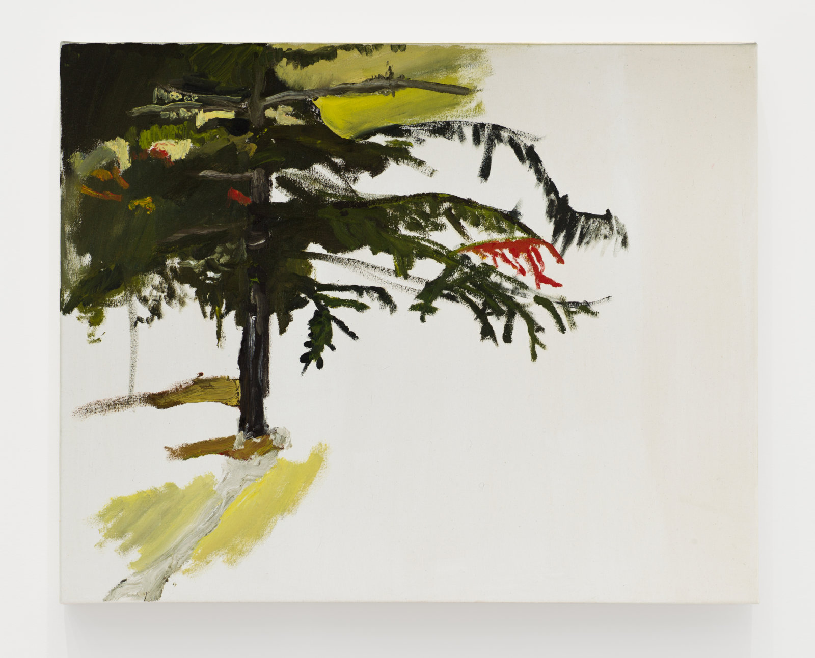 Brenda Draney, Tree, 2015, oil on canvas, 24 x 30 in. (61 x 76 cm)