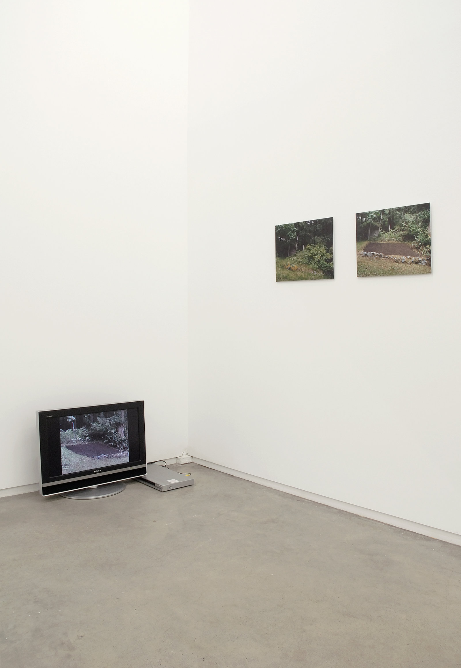 ​Arabella Campbell, Generator Garden (before), Generator Garden (after), 2005, 2 c-prints on aluminum, each 13 x 16 in. (33 x 41 cm), Generator Garden, 2005–2007, DVD, 2 minutes looped by 
