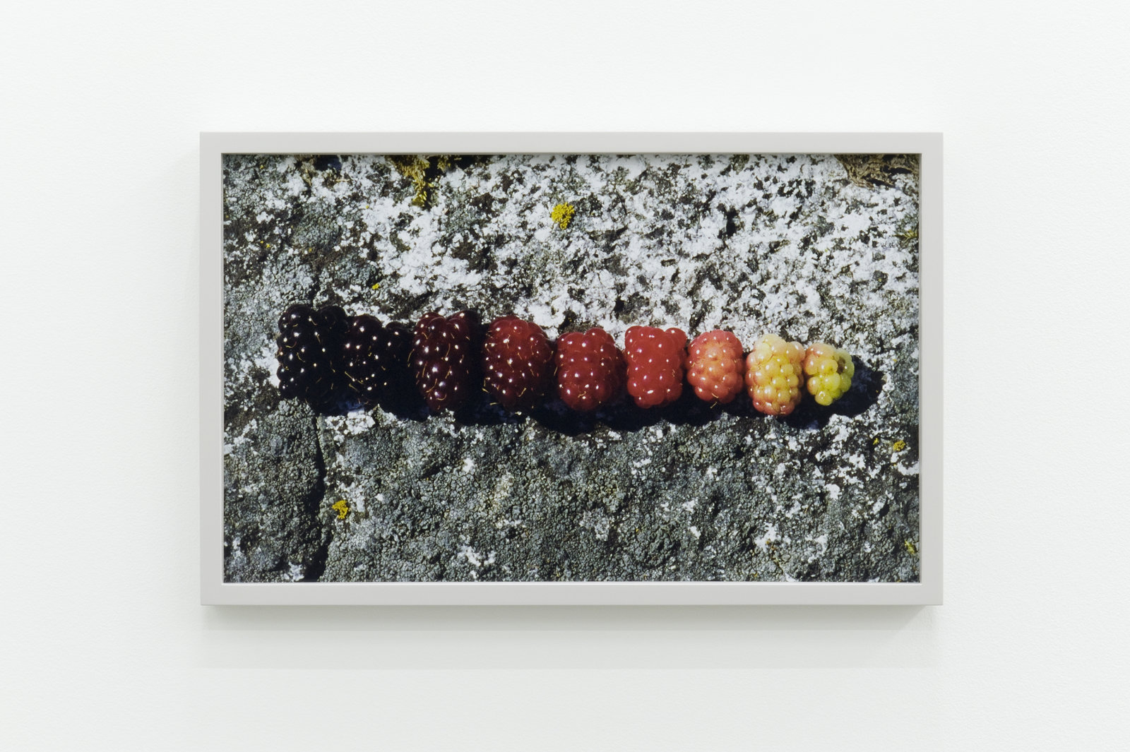 Arabella Campbell, Gradation, 2011, lightjet print, 14 x 22 in. (36 x 56 cm) by 
