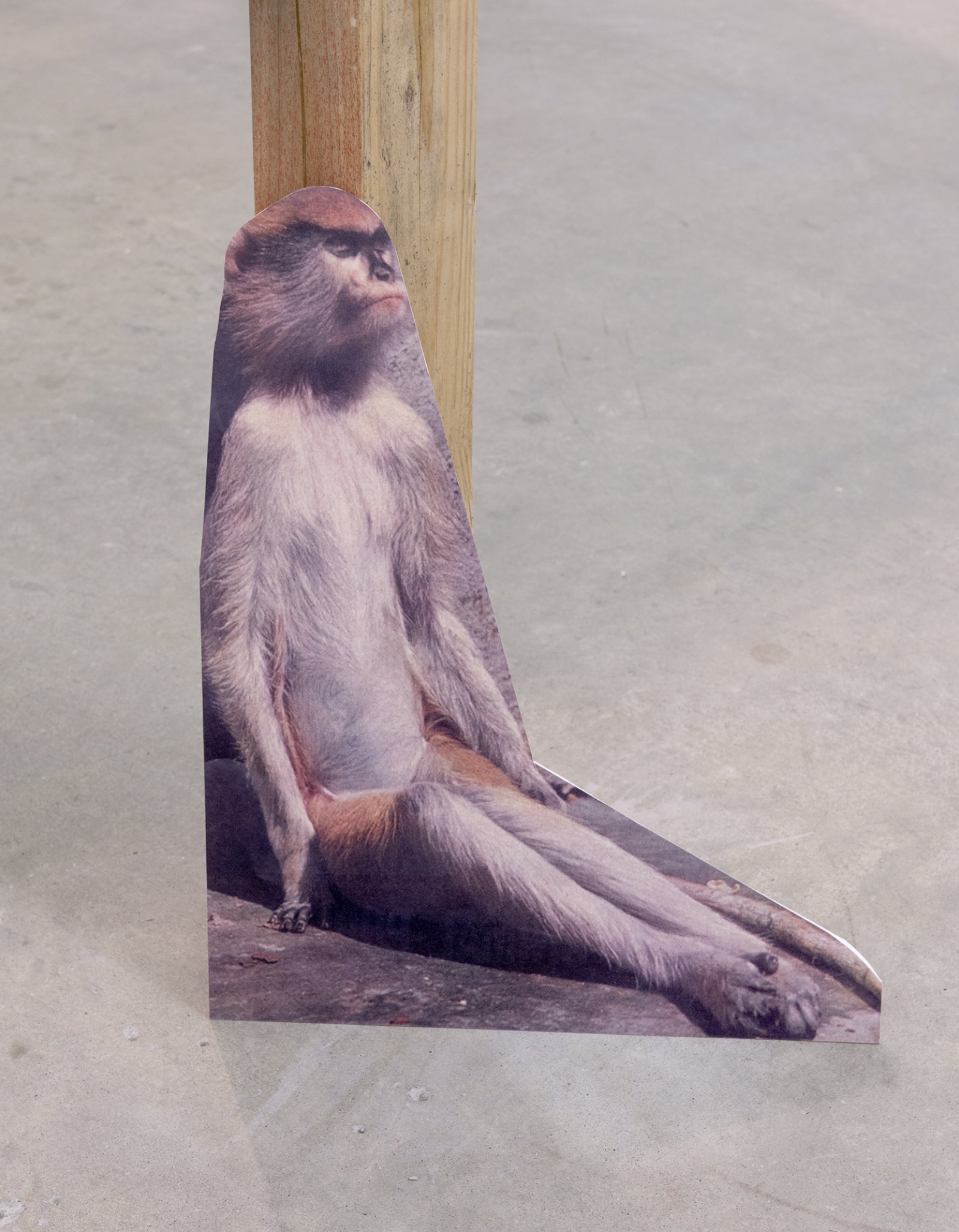Geoffrey Farmer, Dreams of the sleeping monkey. (detail), 2014, douglas fir pole, 10 photographs mounted on foamcore, 200 x 4 x 4 in. (508 x 9 x 9 cm) by Geoffrey Farmer