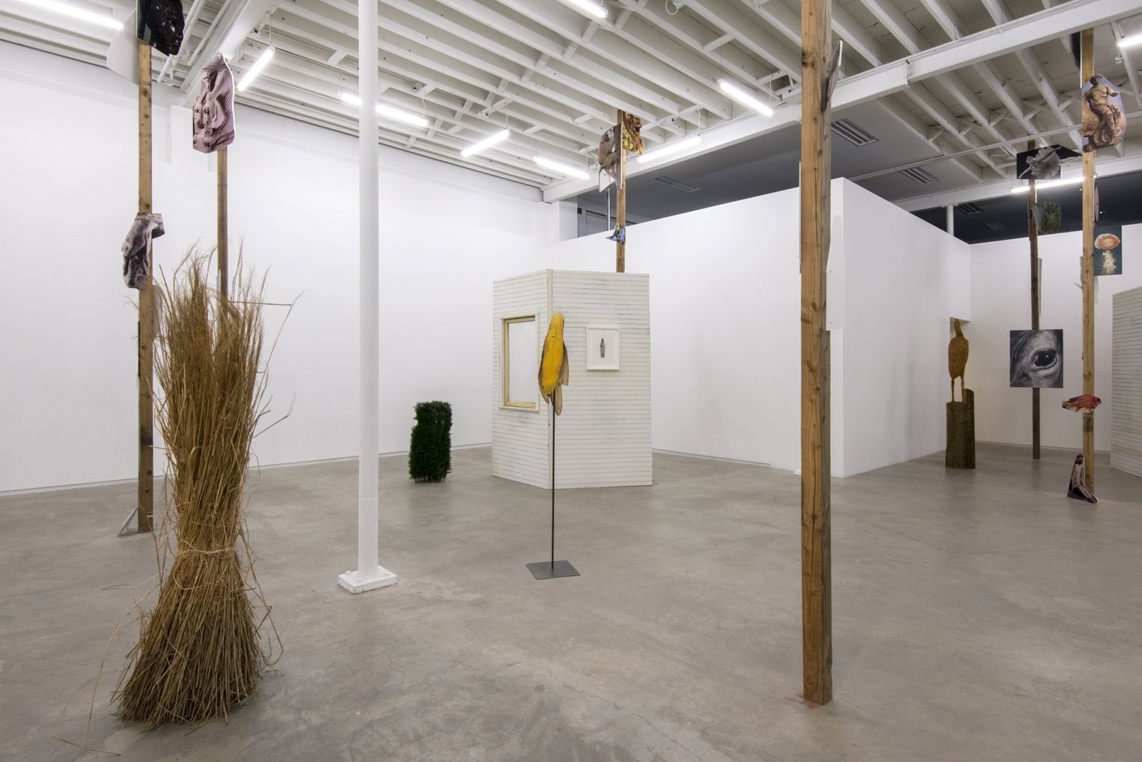Geoffrey Farmer, installation view, The Grass and the Banana go for a walk, Catriona Jeffries, 2014​​ by Geoffrey Farmer
