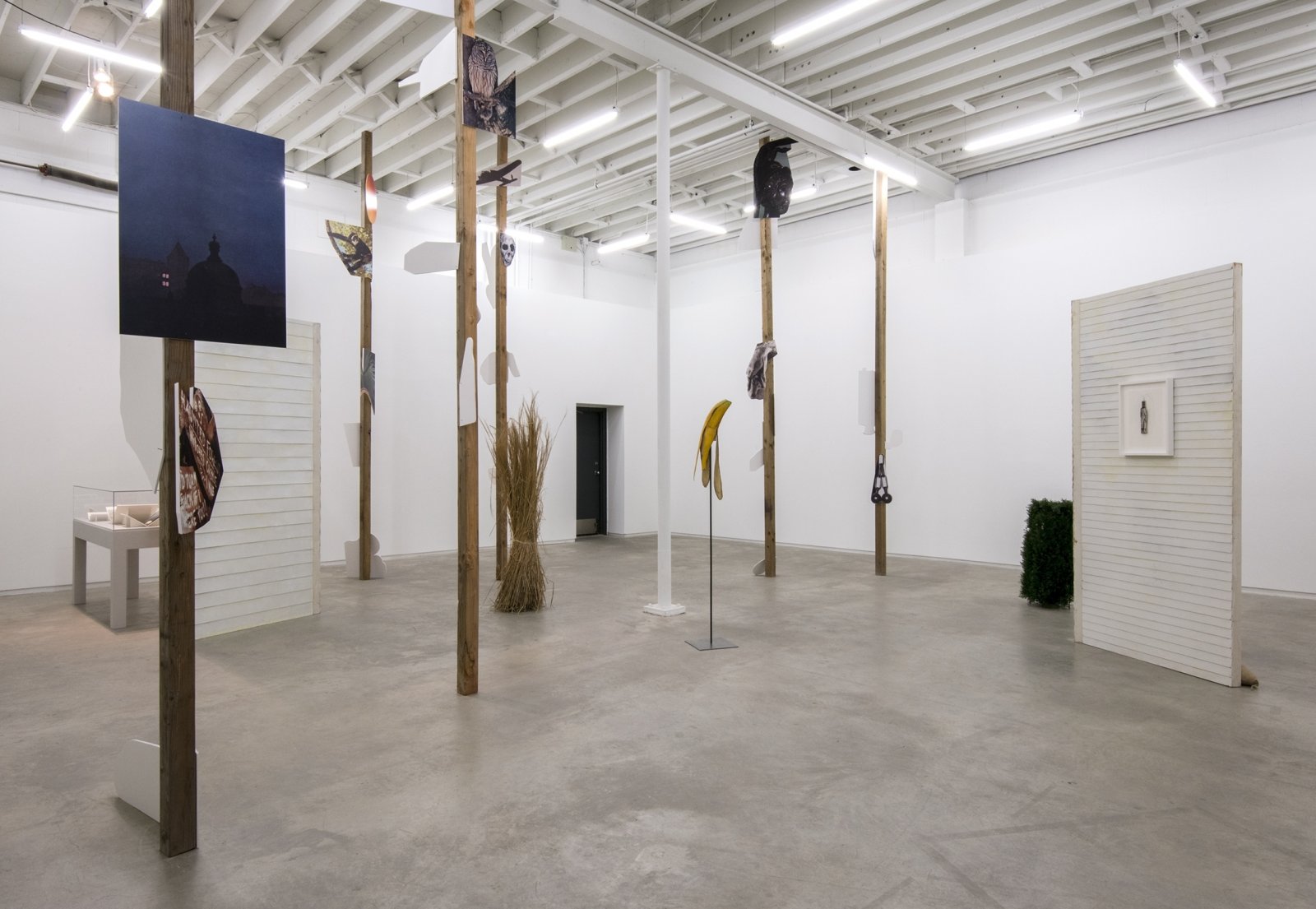 Geoffrey Farmer, installation view, The Grass and the Banana go for a walk, Catriona Jeffries, 2014​​ by Geoffrey Farmer